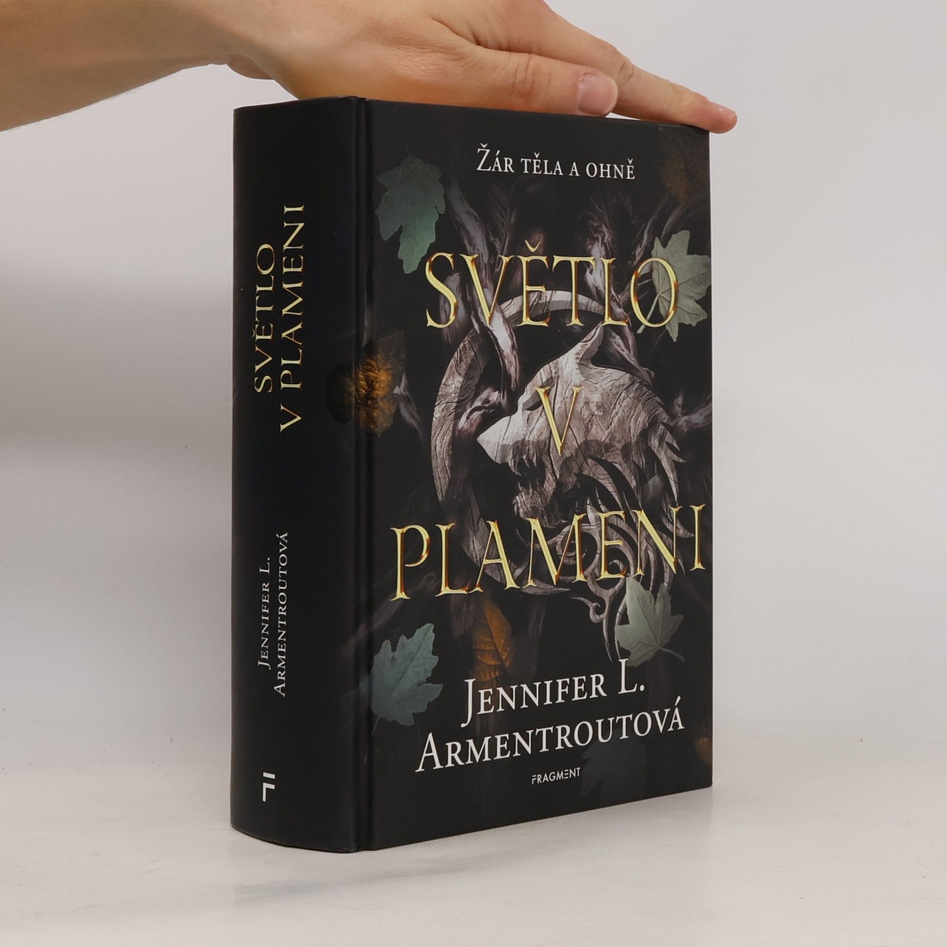 Jennifer L. Armentrout Světlo v plameni