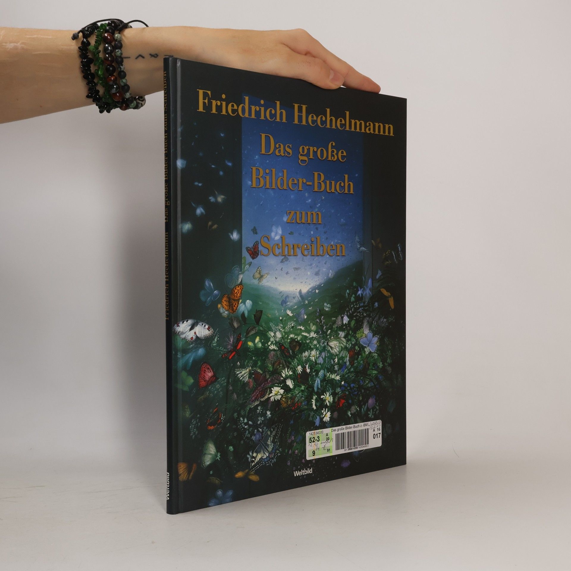 Das große Bilder-Buch zum Schreiben