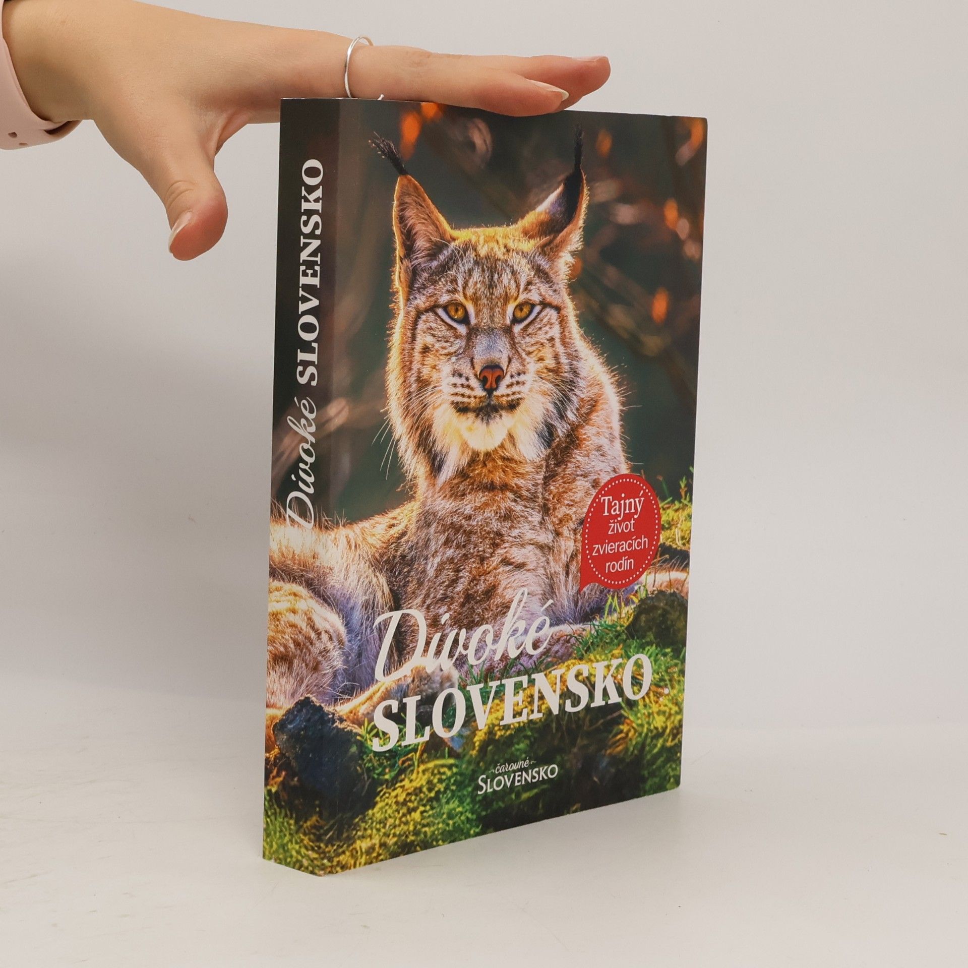 Autorenkollektiv Divoké Slovensko