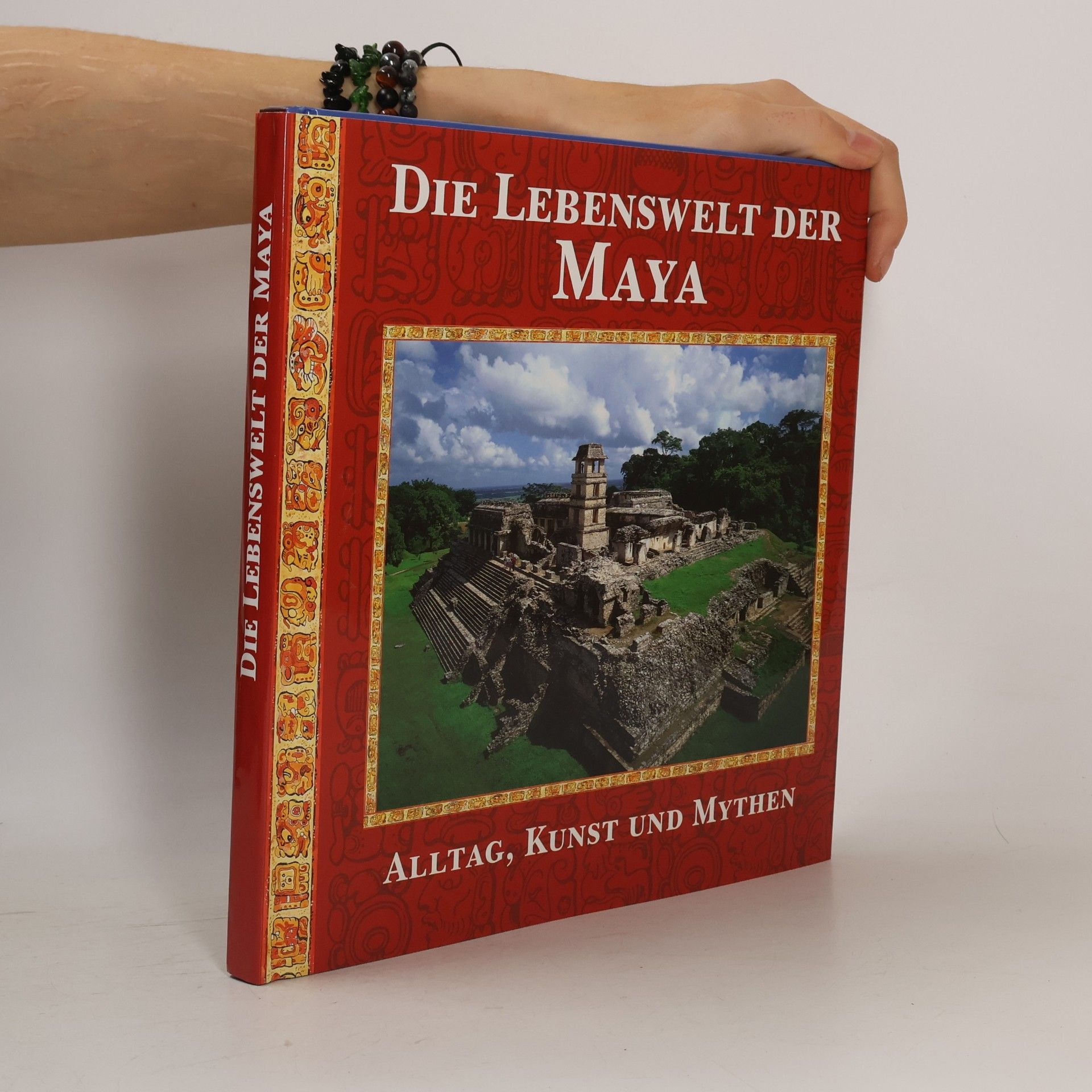Timothy Laughton Die Lebenswelt der Maya