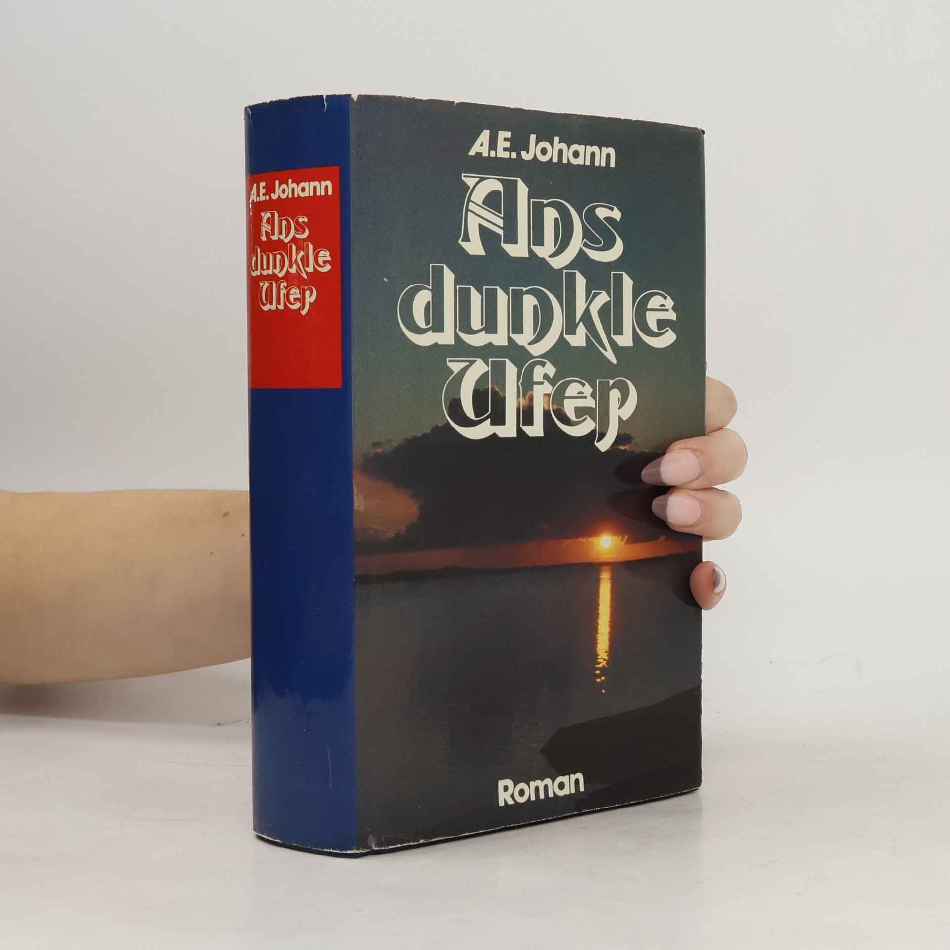 Alfred E. Johann Ans dunkle Ufer