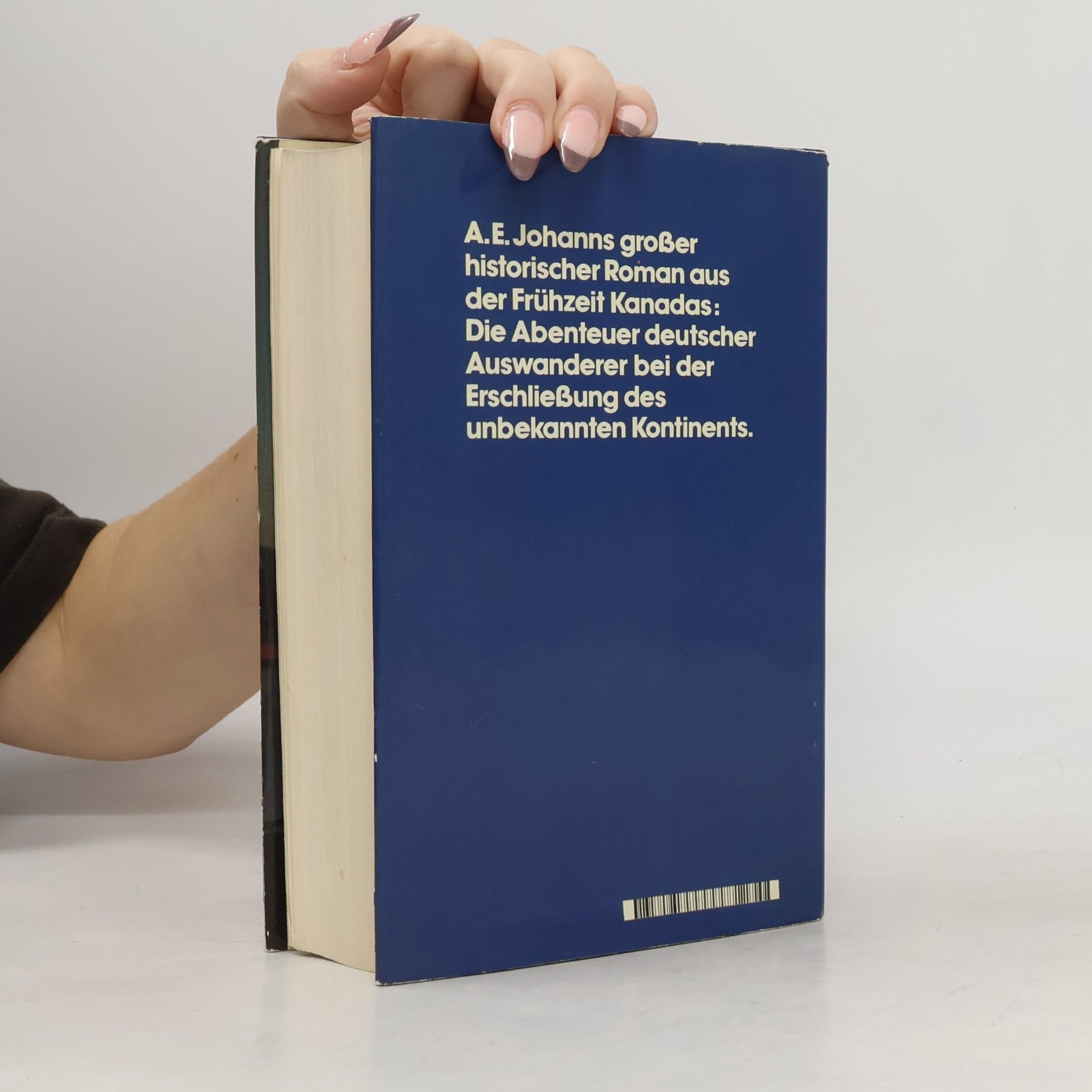 Alfred E. Johann Ans dunkle Ufer