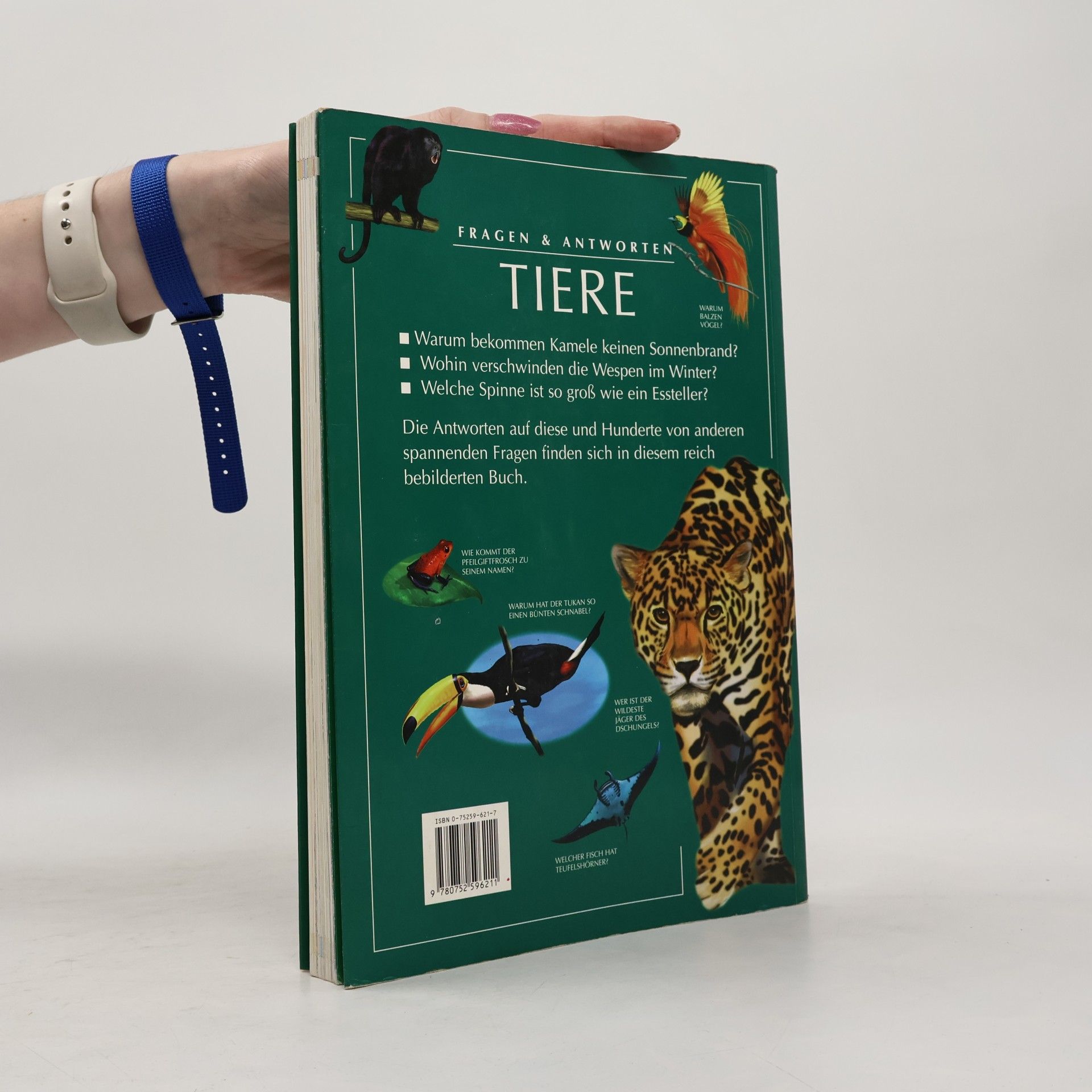 Nazire Ergün Tiere