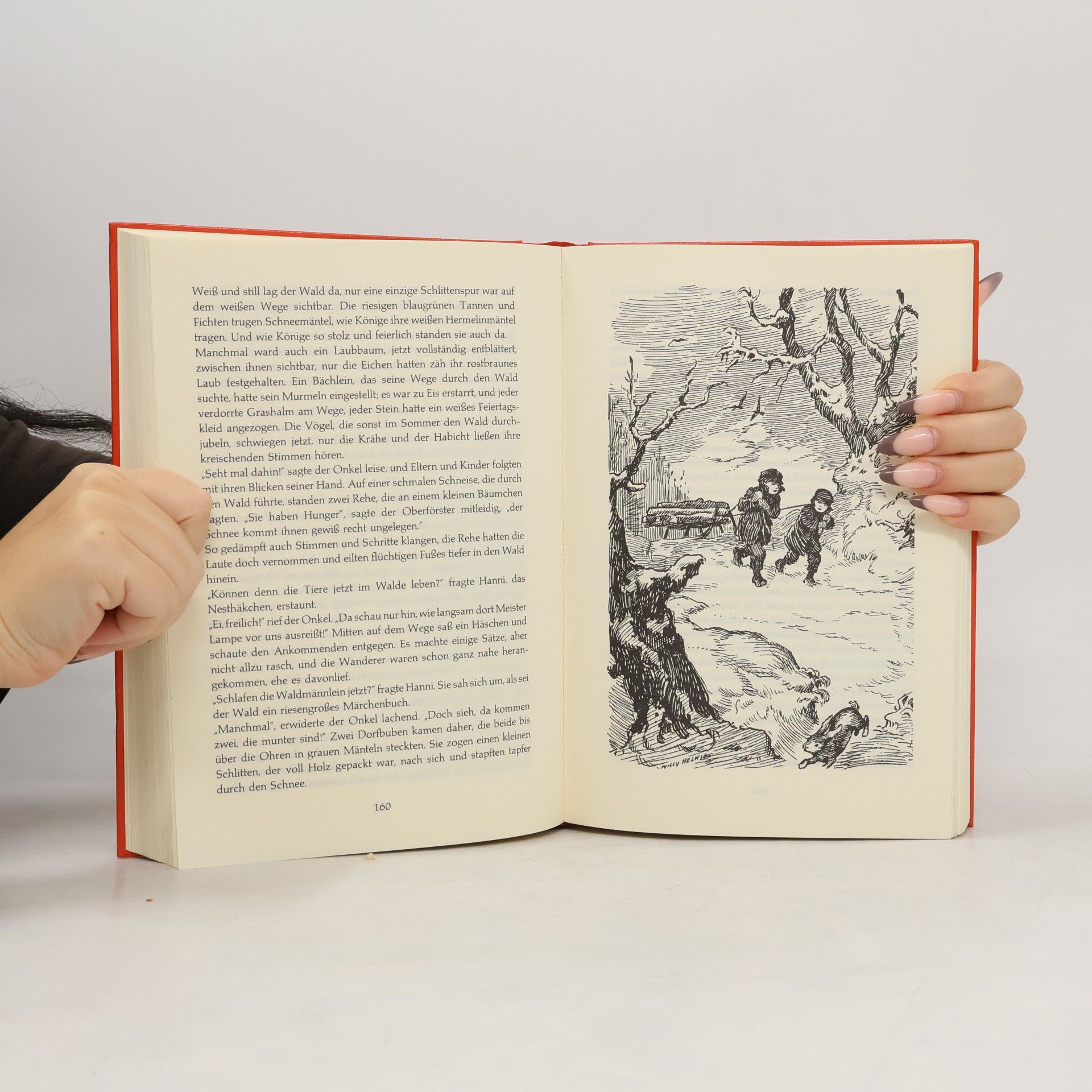 Josephine Siebe-Buch Das grosse Josephine Siebe-Buch