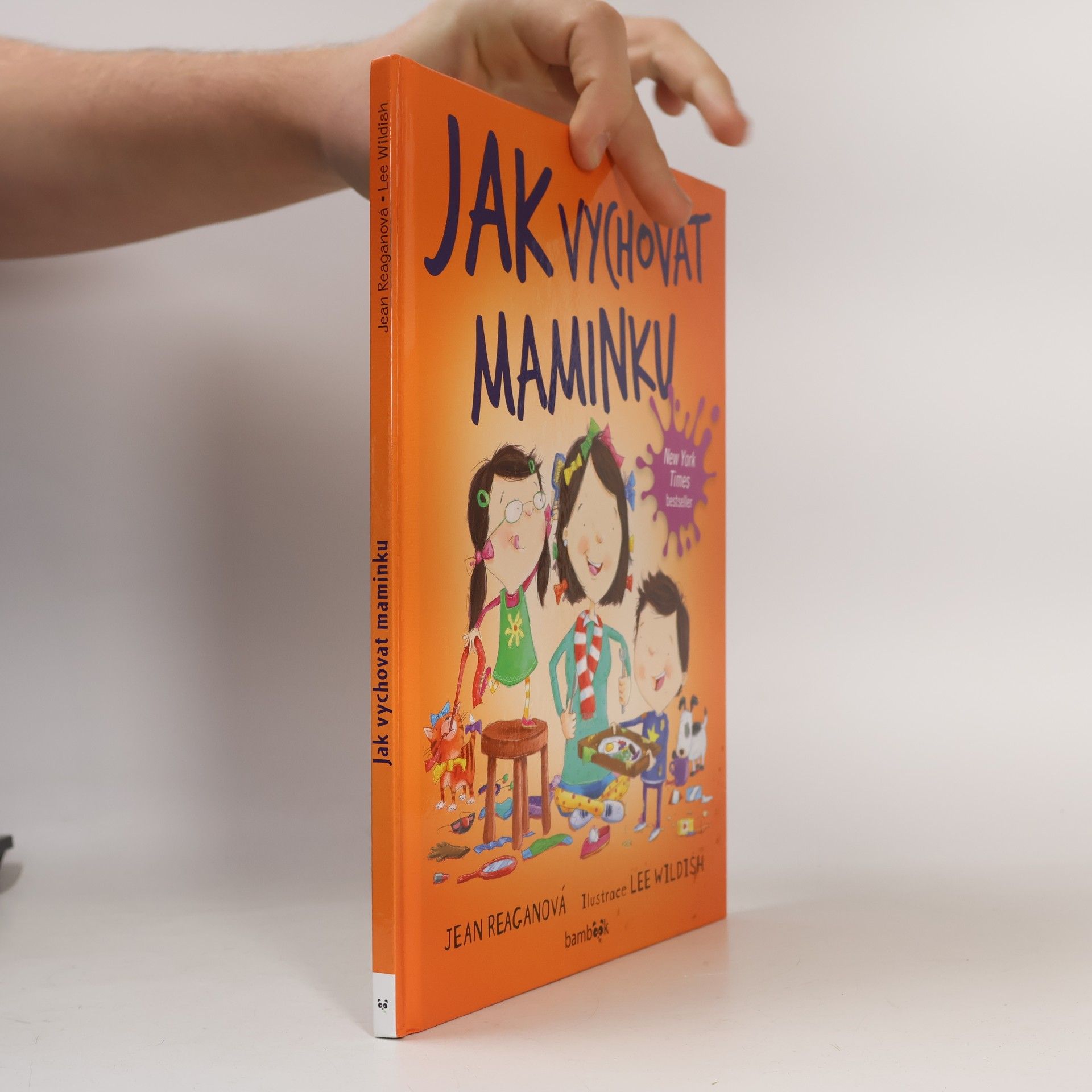 Jean Reagan Jak vychovat maminku