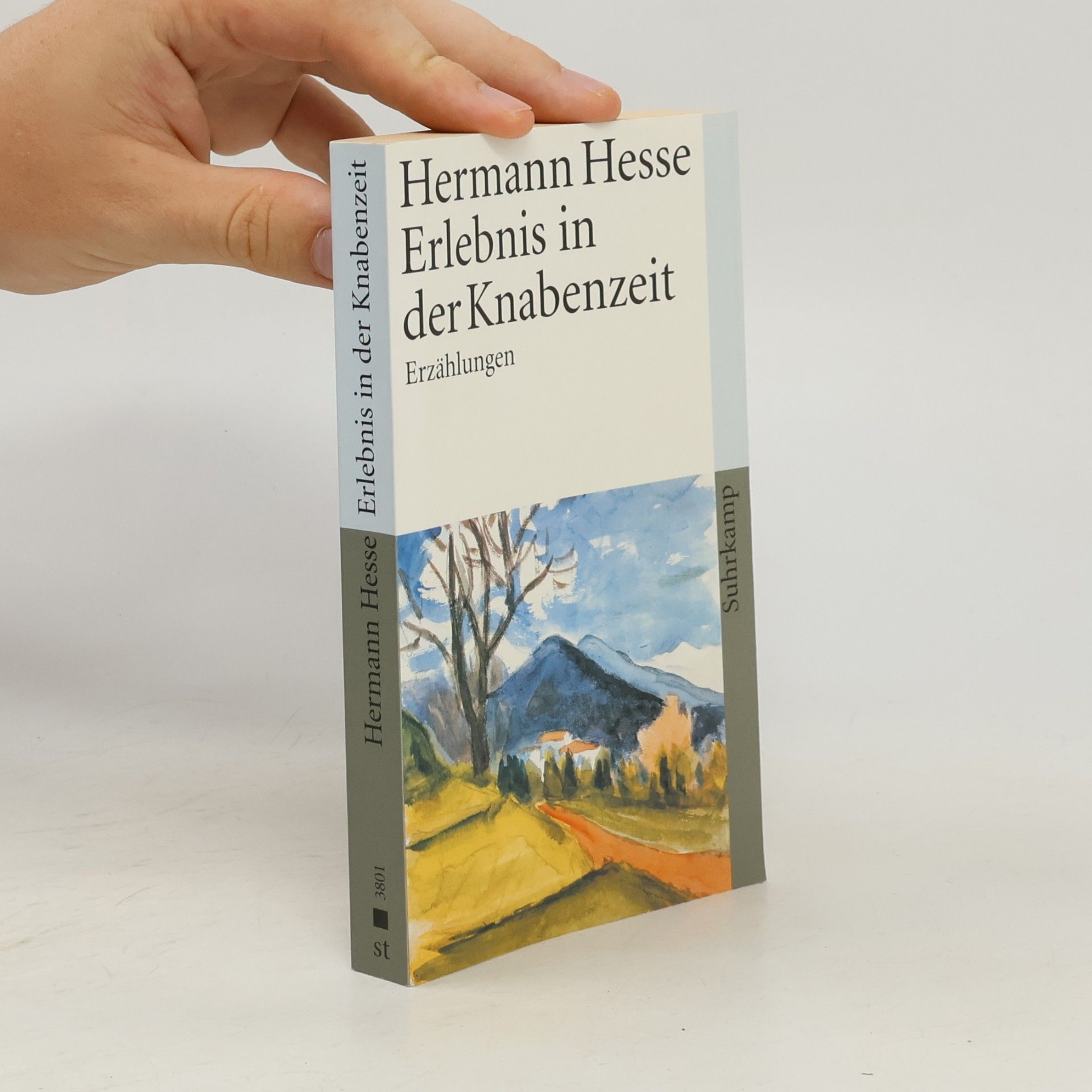 Hermann Hesse Erlebnis in der Knabenzeit