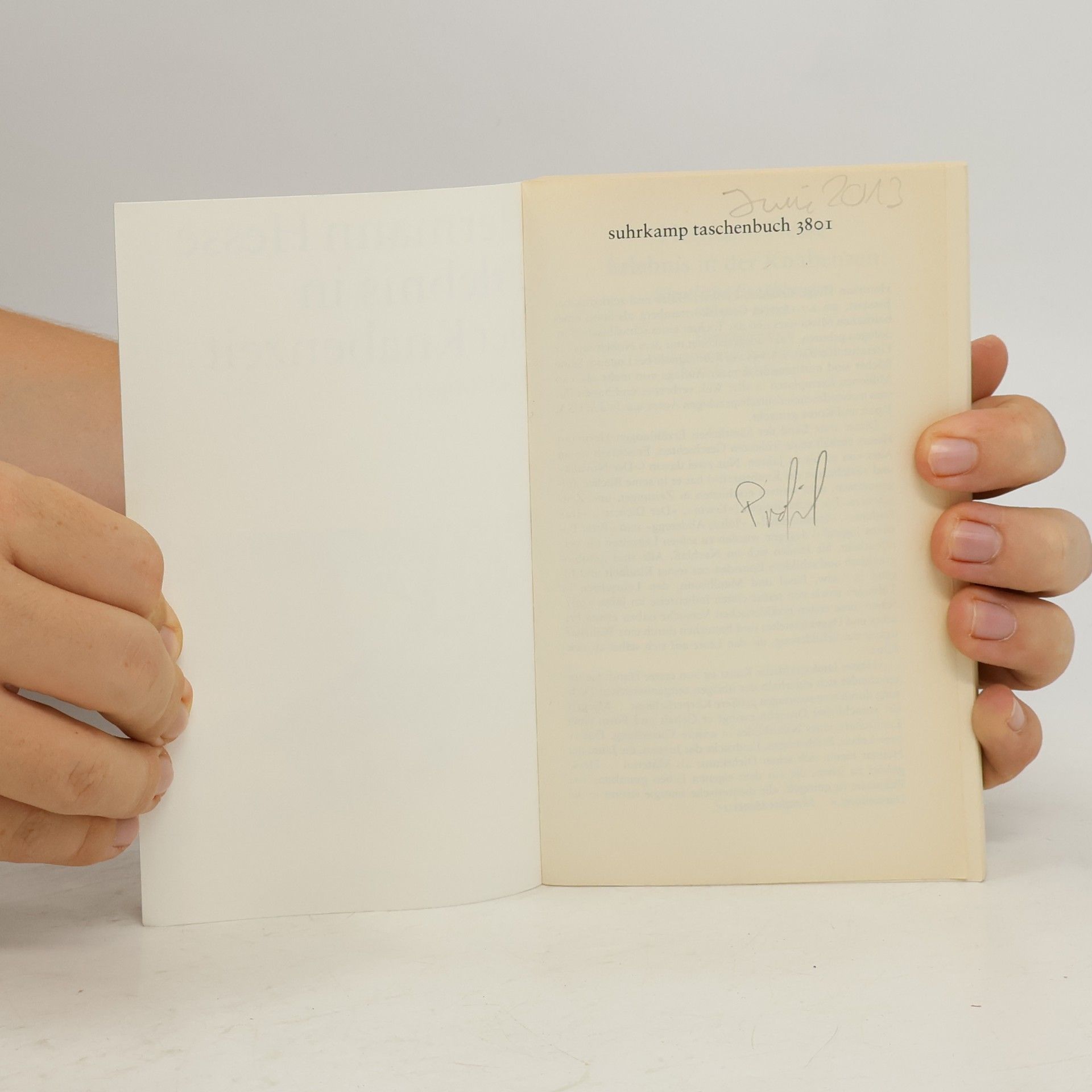 Hermann Hesse Erlebnis in der Knabenzeit