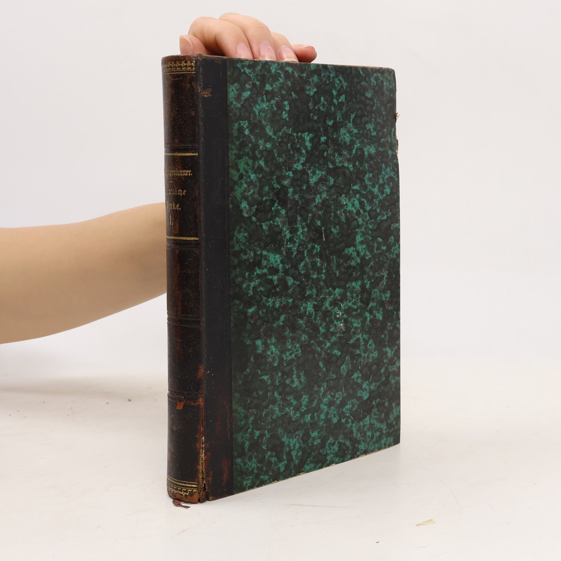 Arthur Schopenhauer Schriften zur Erkeenntnißlehre