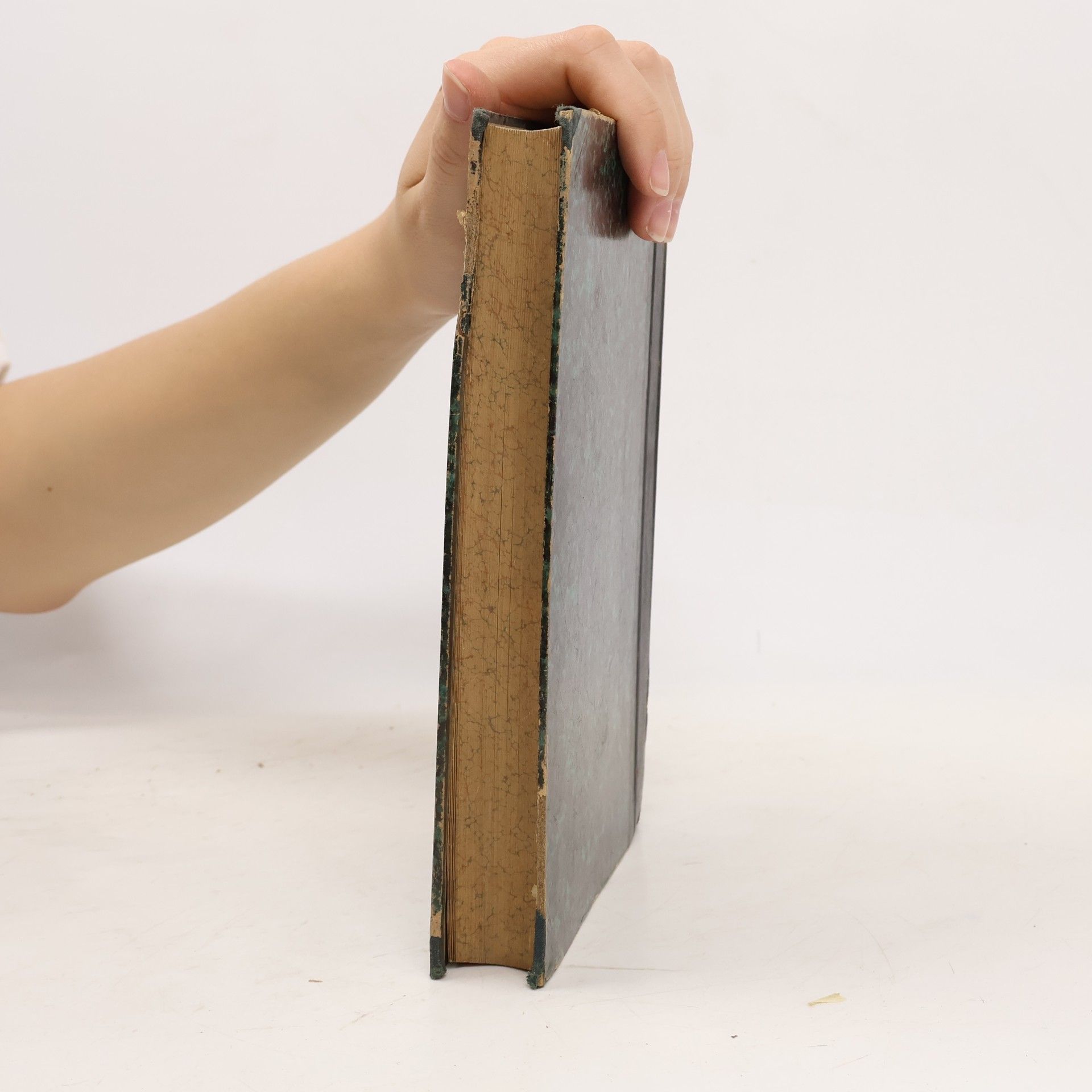 Arthur Schopenhauer Schriften zur Erkeenntnißlehre
