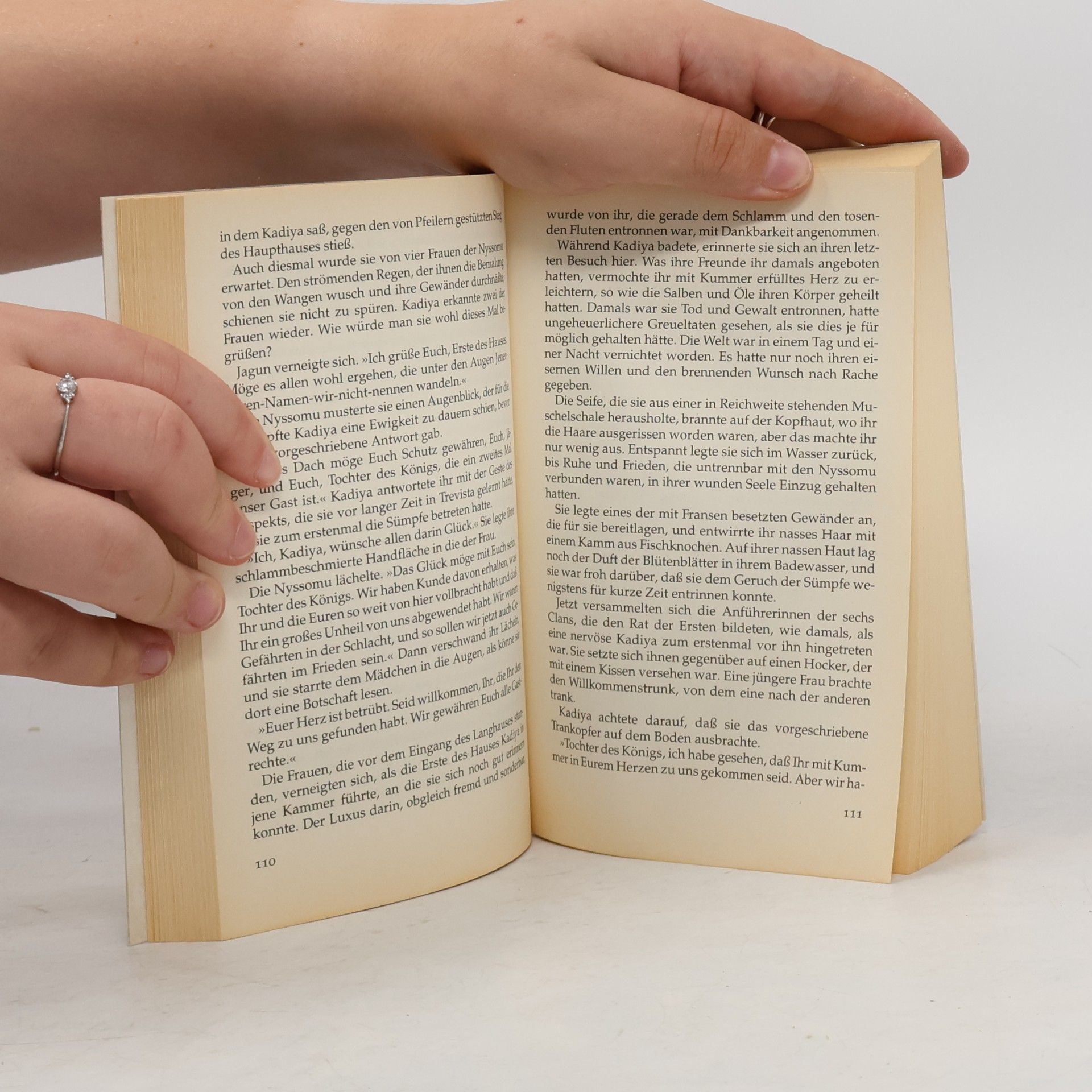 Andre Norton Hüter der Träume