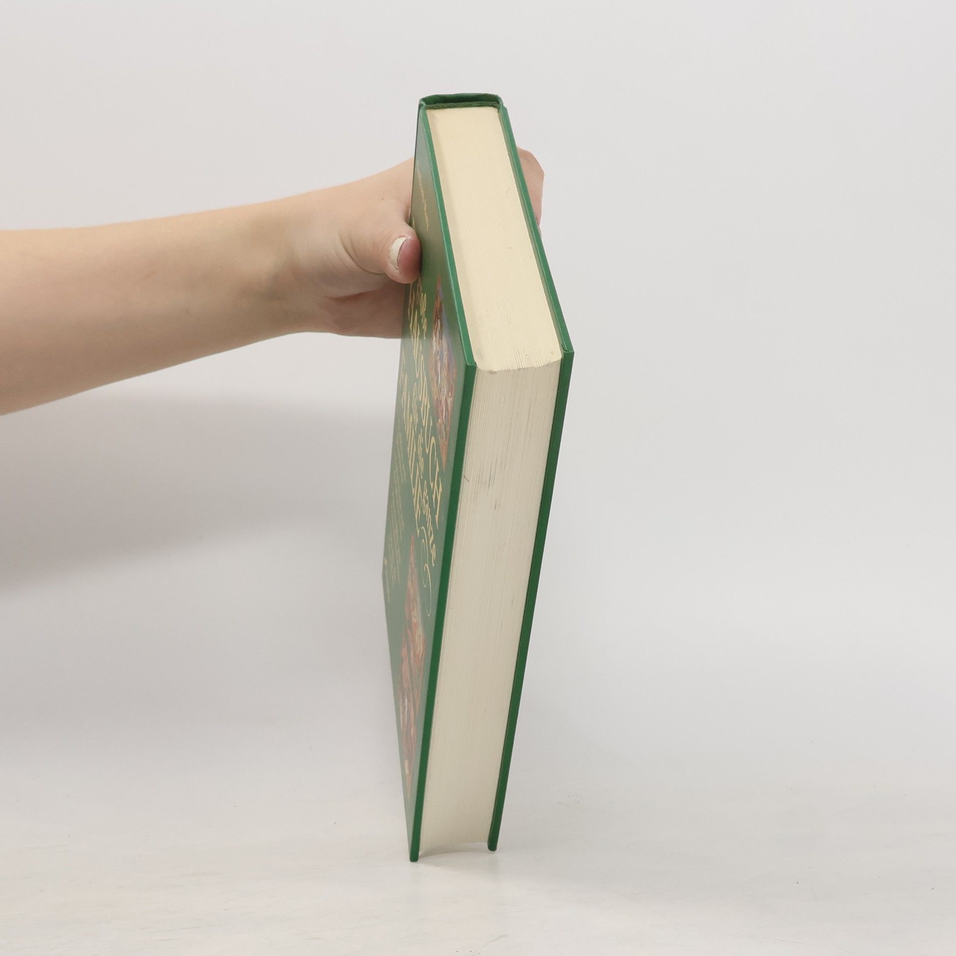 Gerhard Merz Das große Hausbuch für die ganze Familie