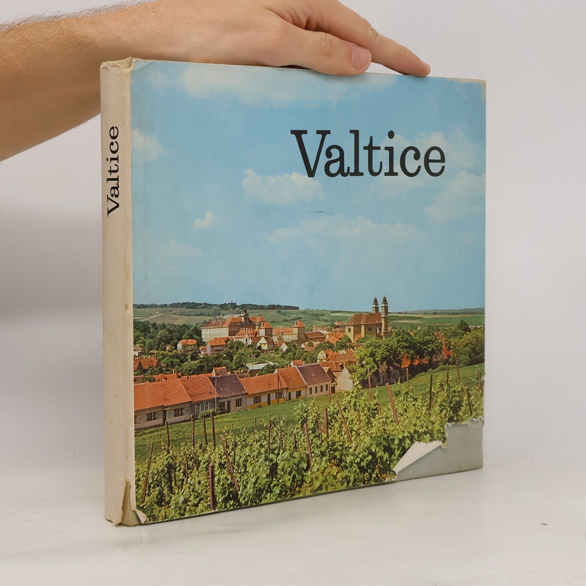 kolektiv Valtice