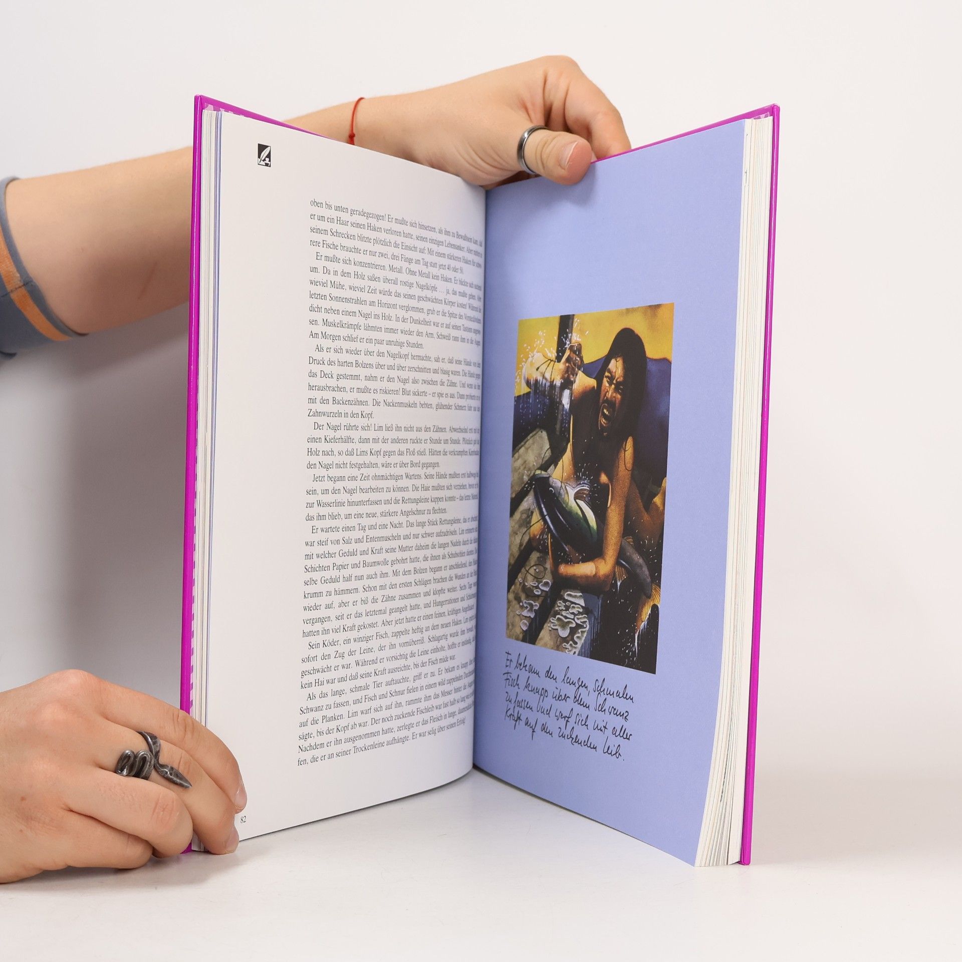 Autorenkollektiv Das große Jugendbuch