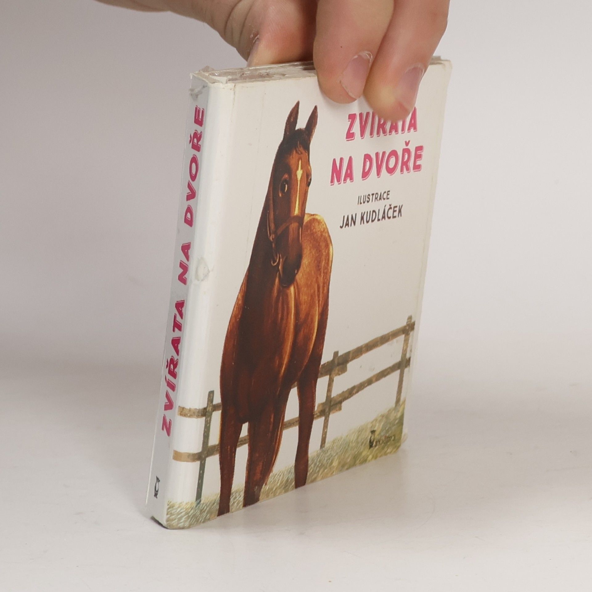 Jan Kudláček Zvířata na dvoře