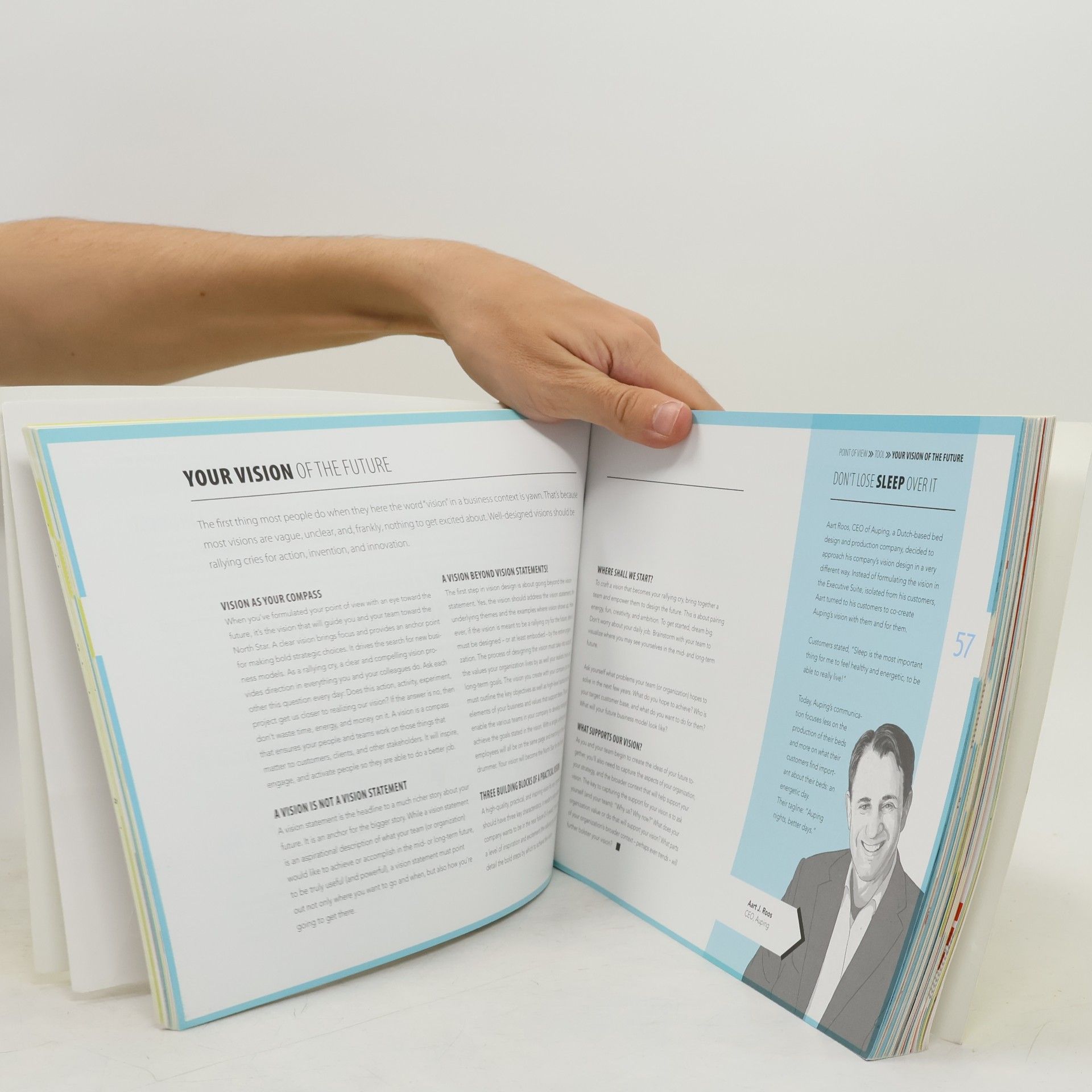 Patrick van der Pijl Design a Better Business
