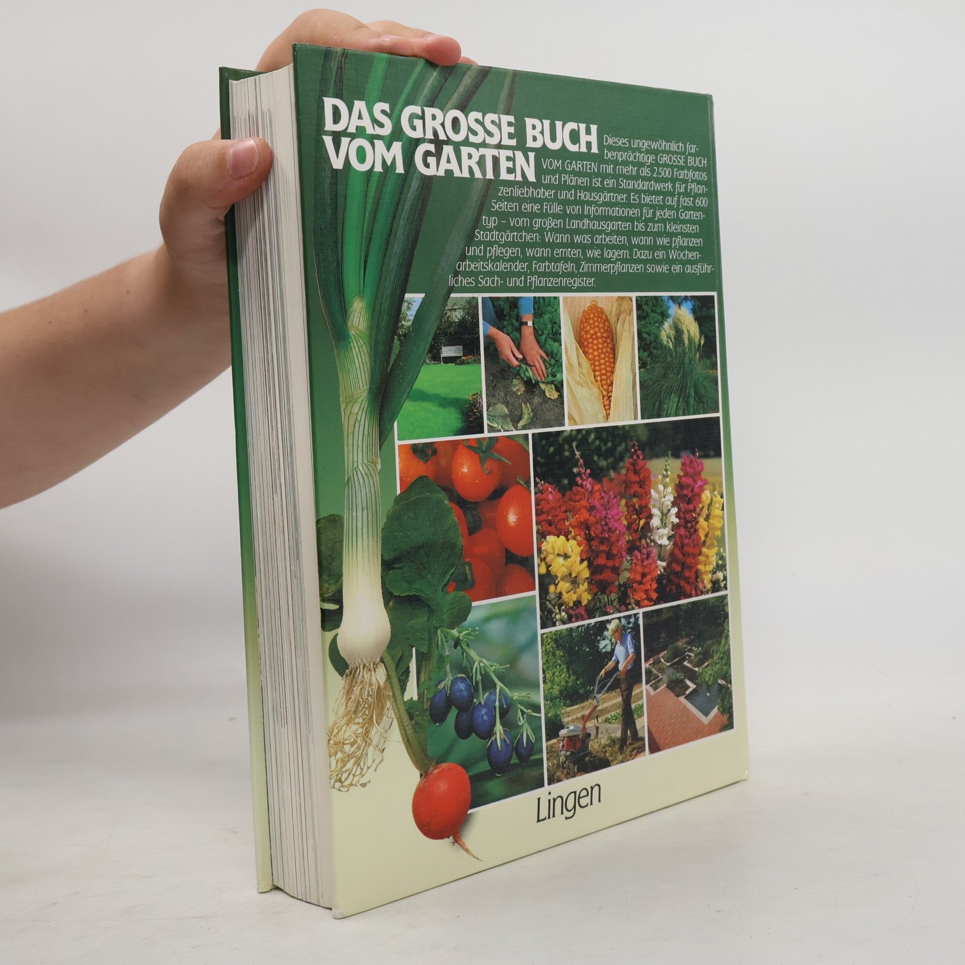 Autorenkollektiv Das grosse Buch vom Garten