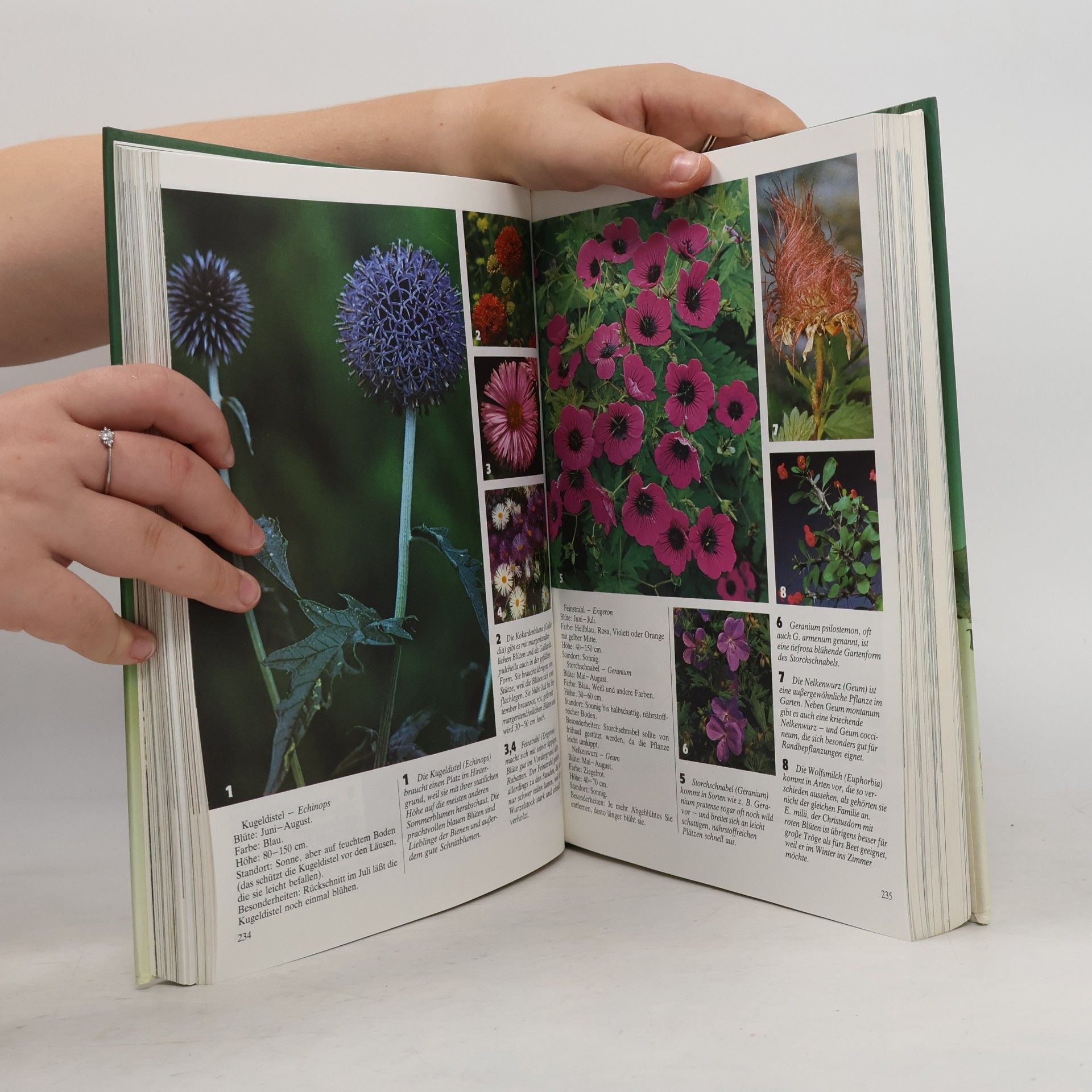 Autorenkollektiv Das grosse Buch vom Garten