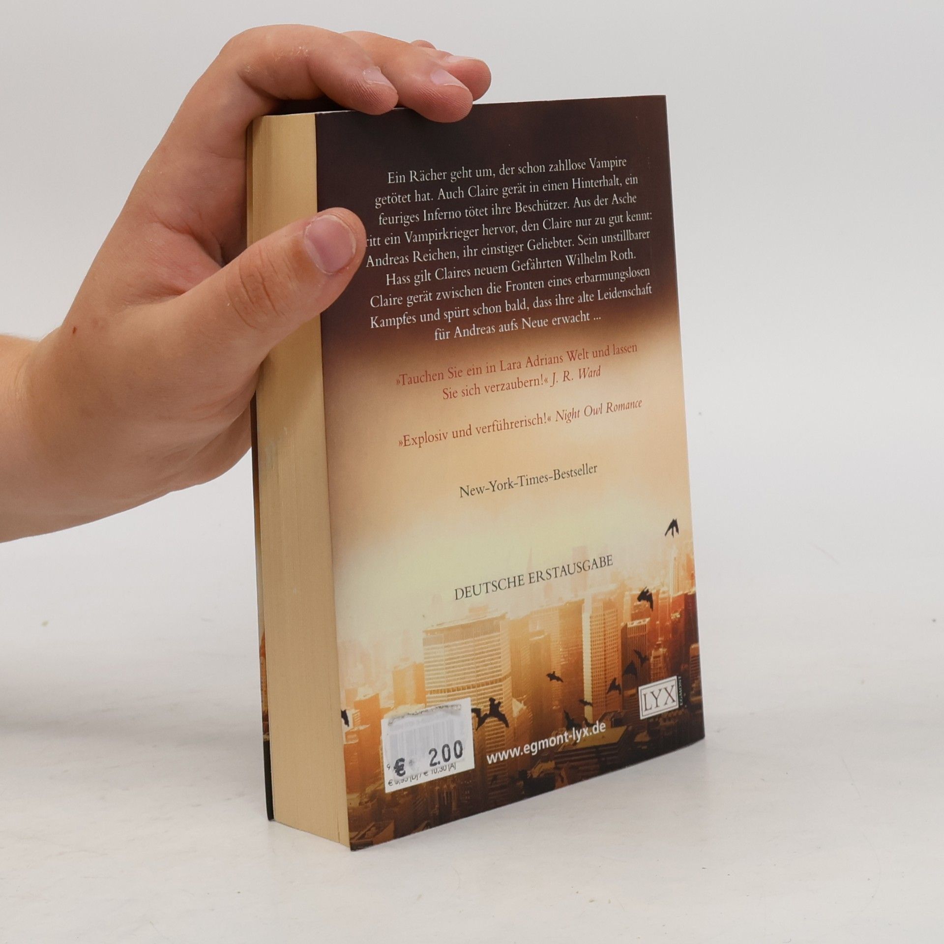 Jocelynn Drake Jägerin der Nacht 1