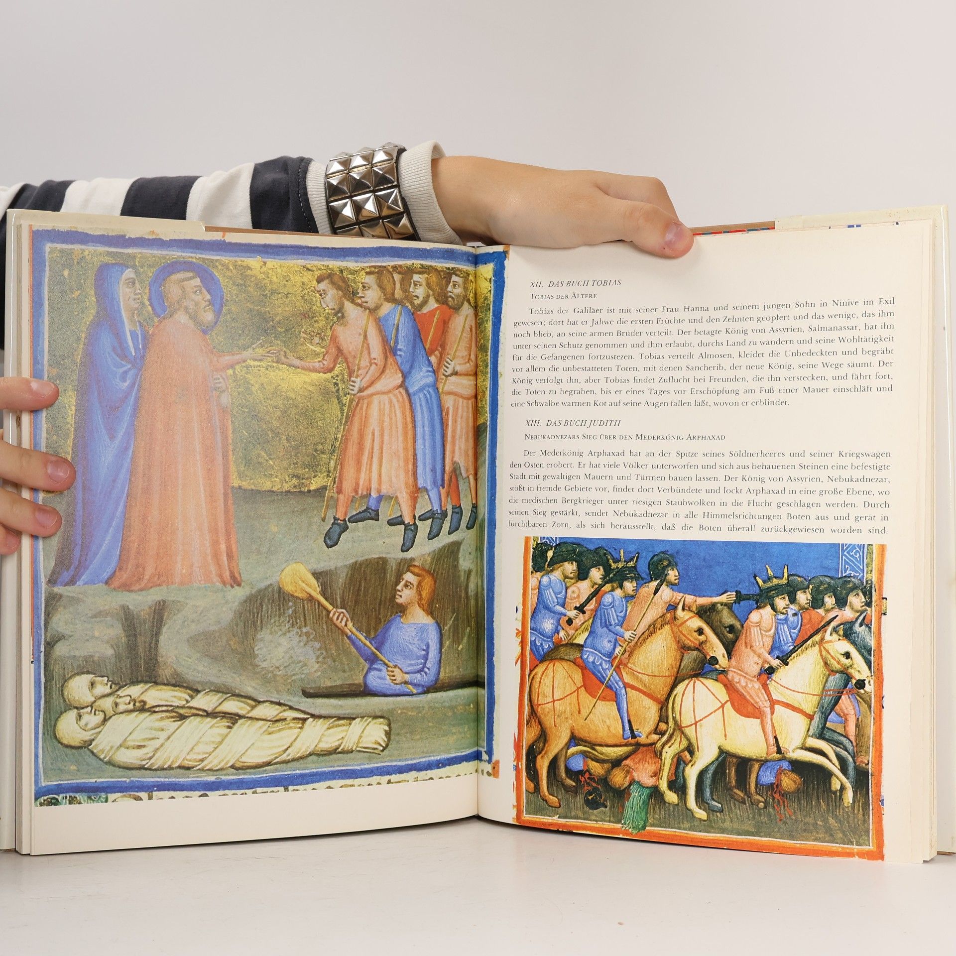 Autorenkollektiv Die Bibel von Neapel