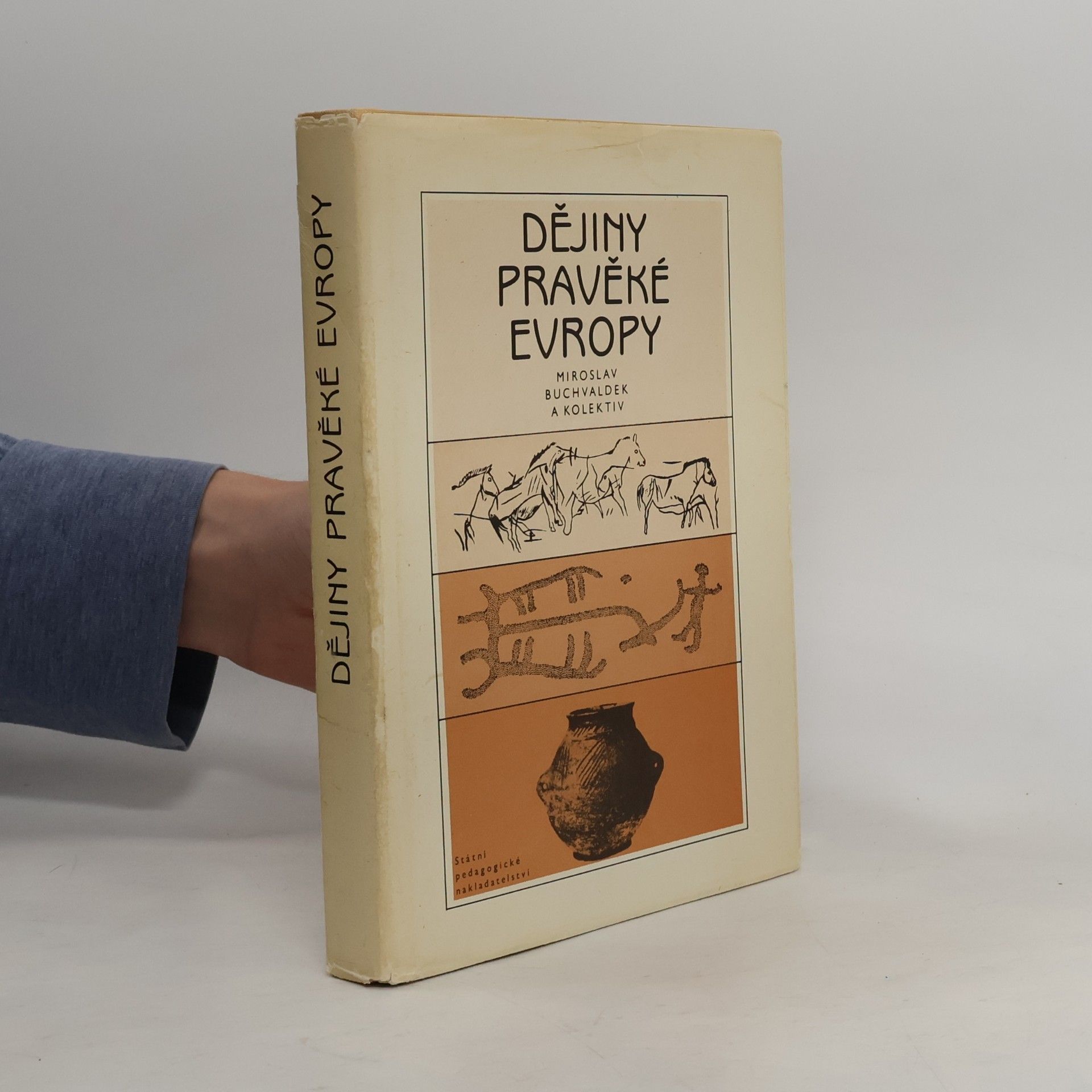 Miroslav Buchvaldek Dějiny pravěké Evropy