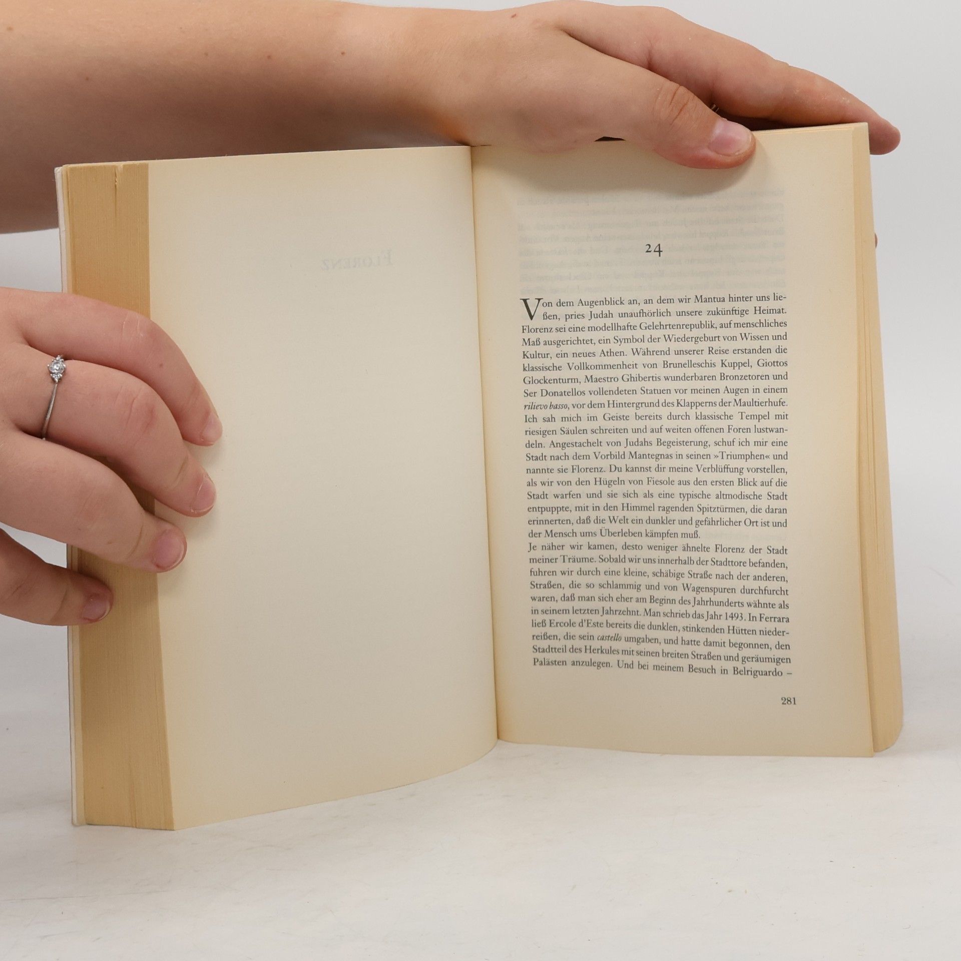 Jacqueline Park Das geheime Buch der Grazia dei Rossi