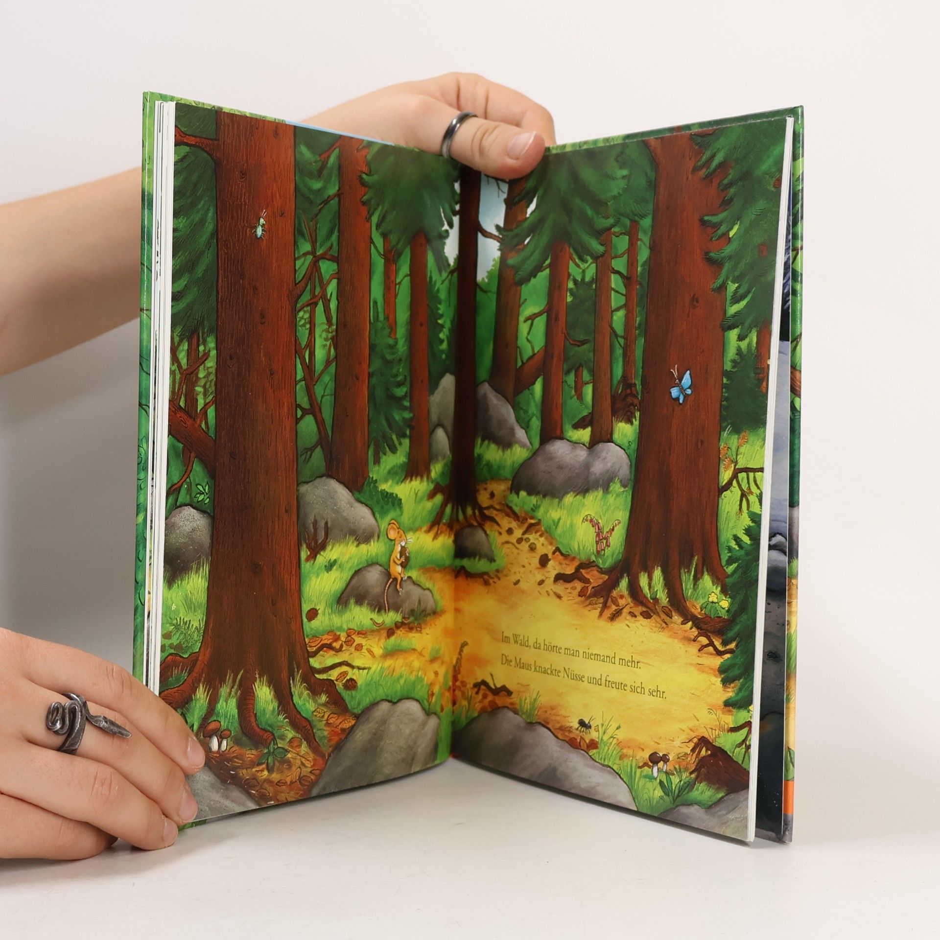Julia Donaldson Der Grüffelo: 2 Bilderbücher in einem Band