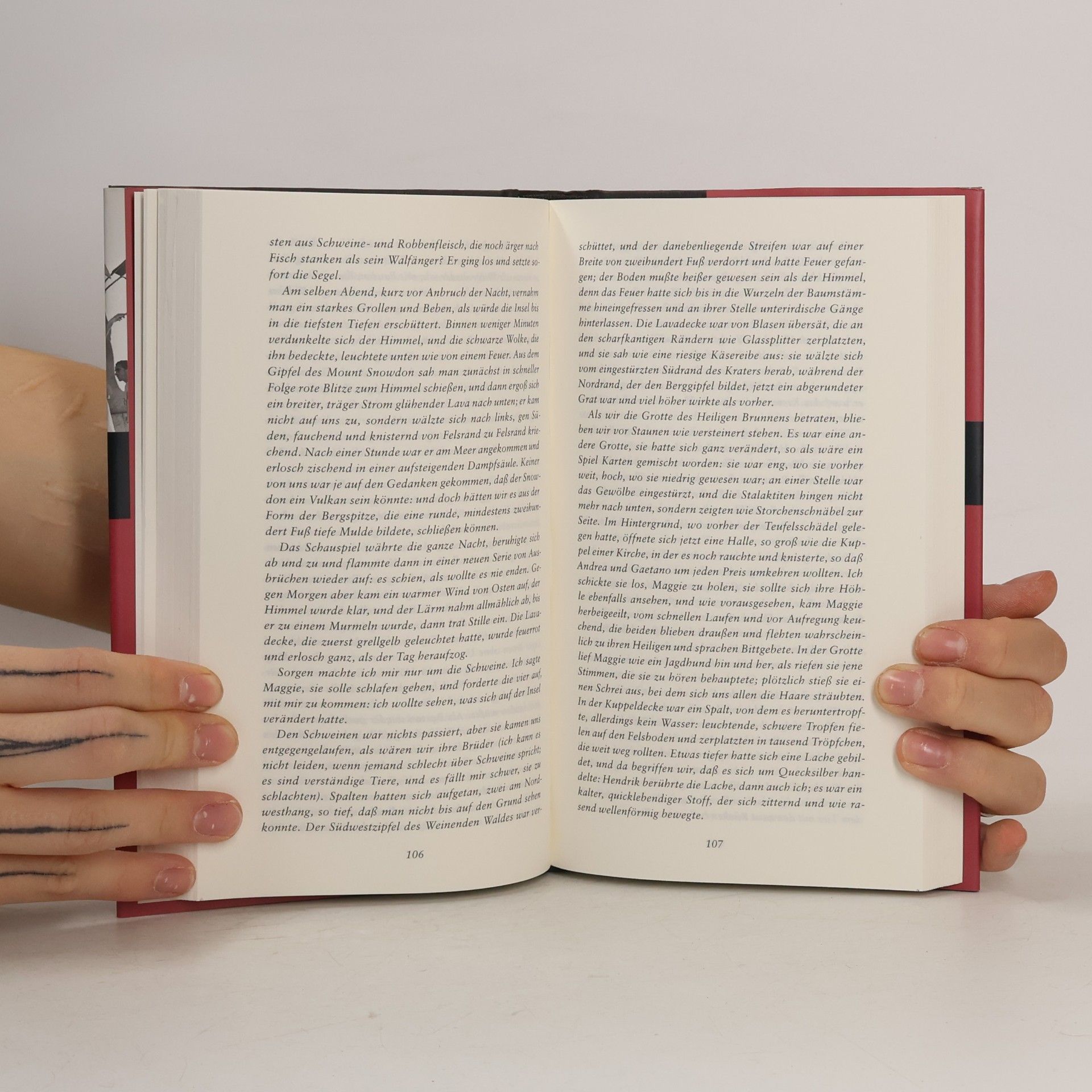 Primo Levi Das periodische System