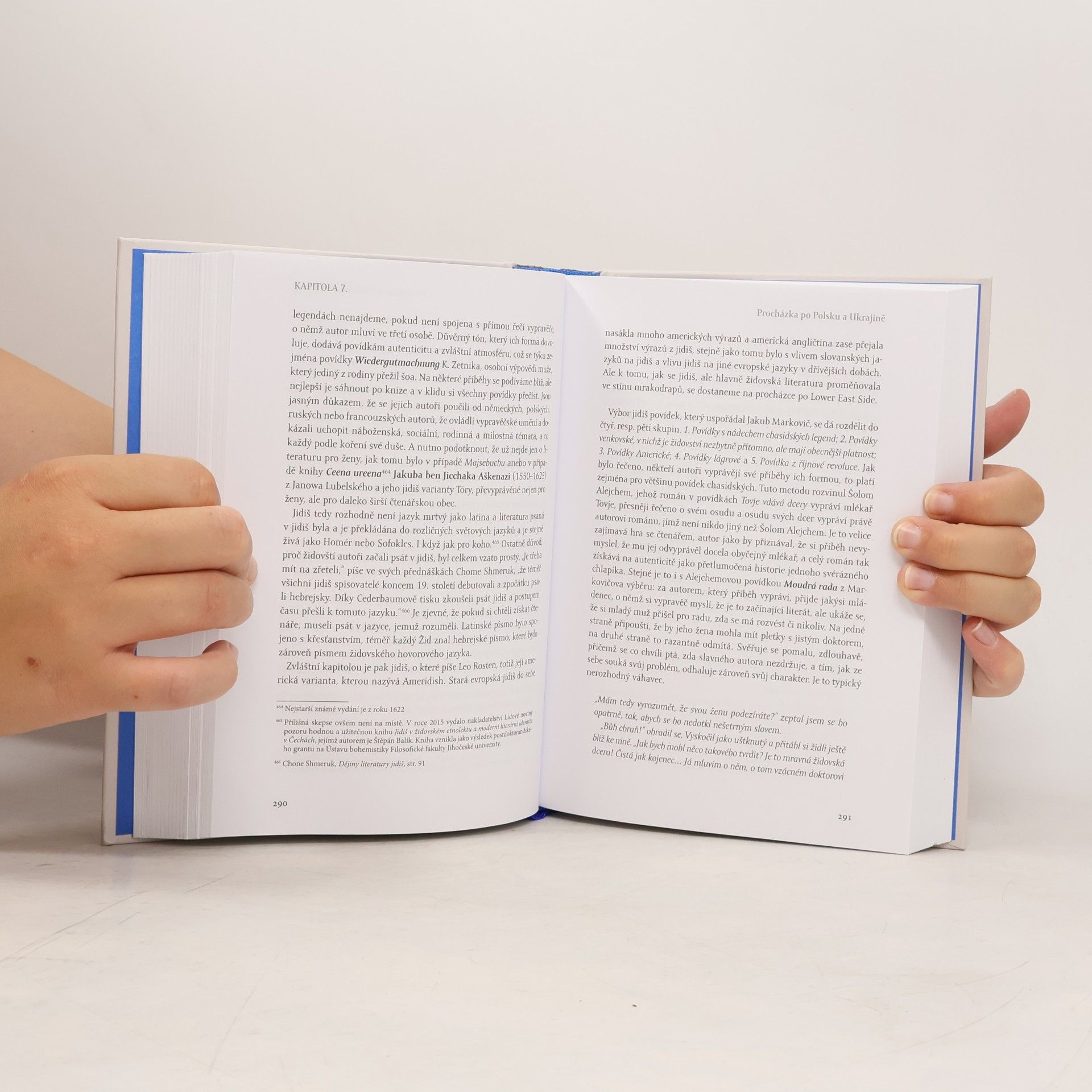 David Jan Novotný Dvanáct kapitol ze židovské literatury: Od Tóry k Rothovi