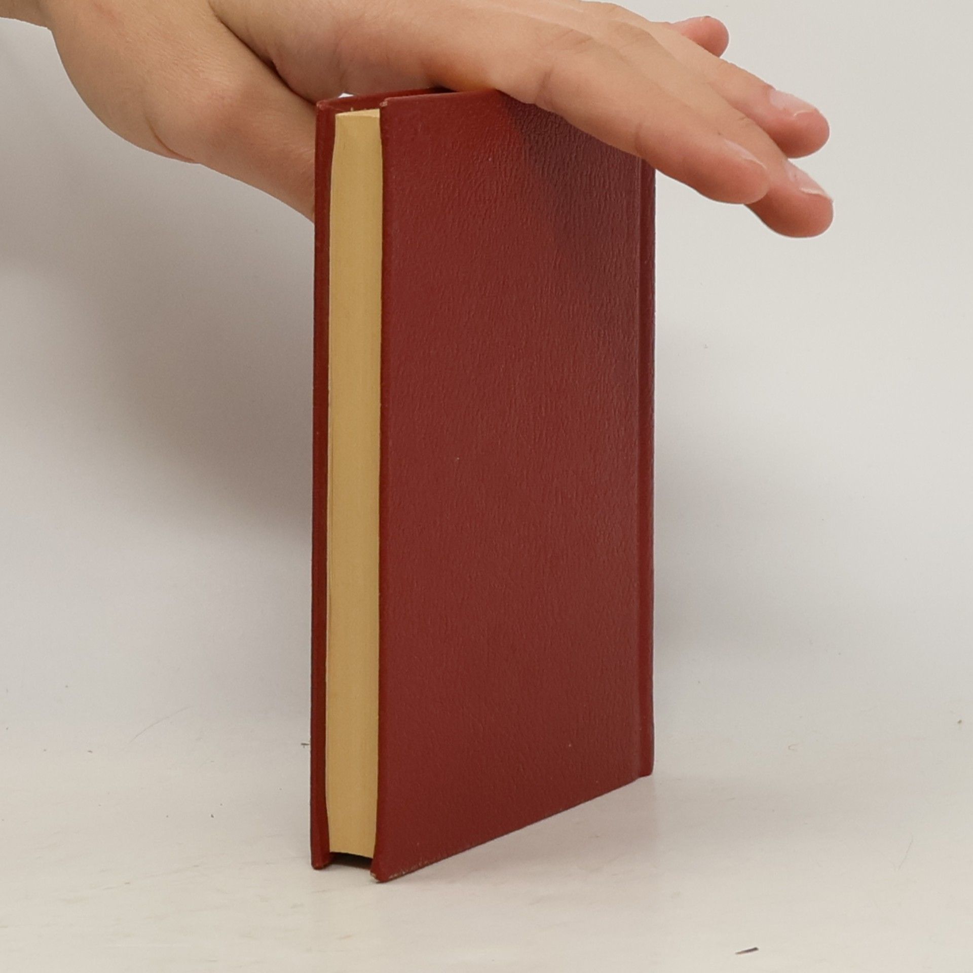 Reinhild Böhnke Taschenwörterbuch: Deutsch - Englisch