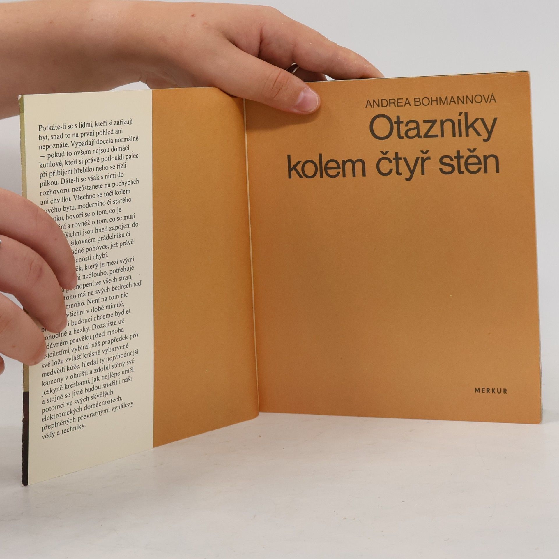 Andrea Bohmannová Otazníky kolem čtyř stěn