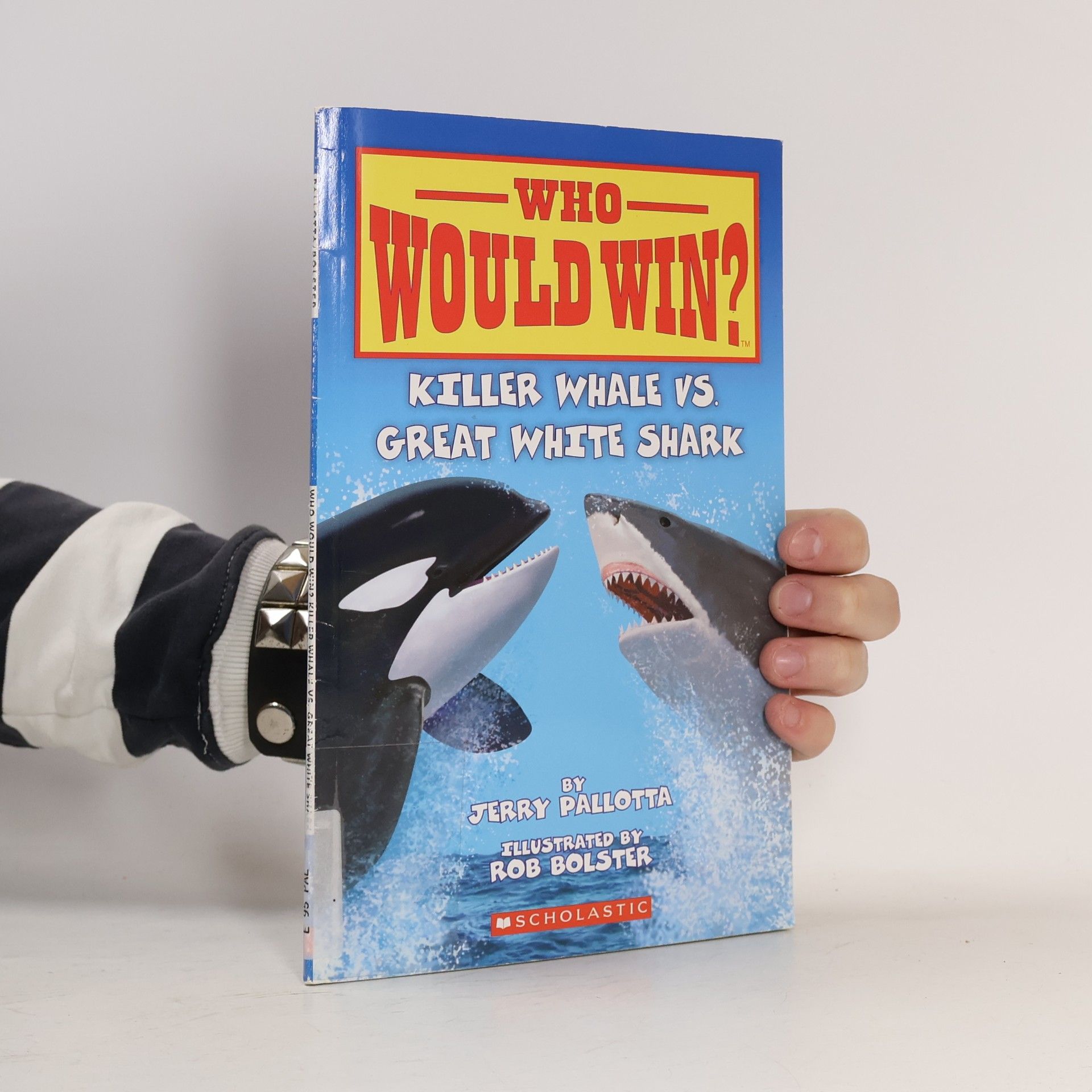 Rob Bolster Who Would Win?: Killer Whale Vs. Great White Shark