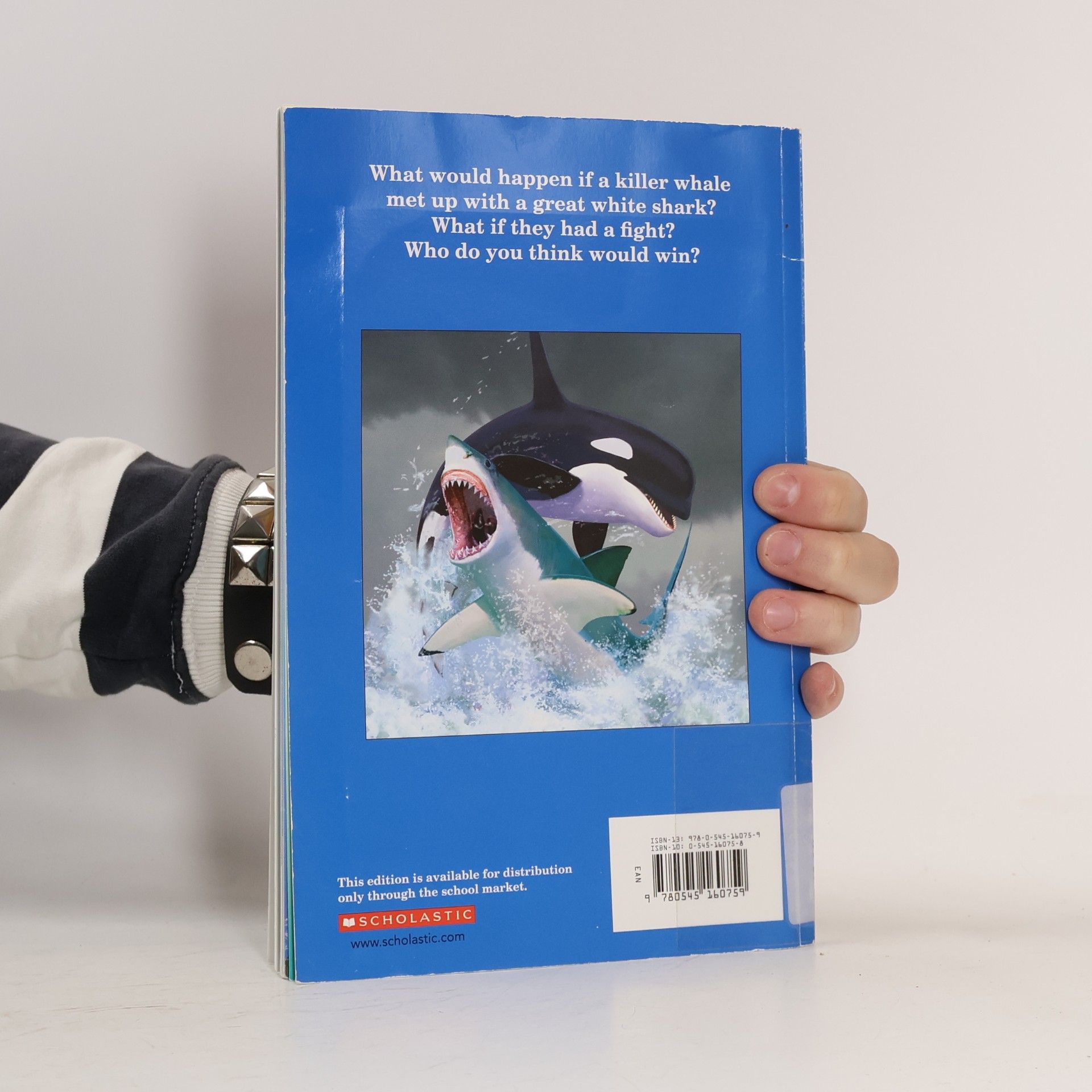 Jerry Pallotta Who Would Win?: Killer Whale Vs. Great White Shark
