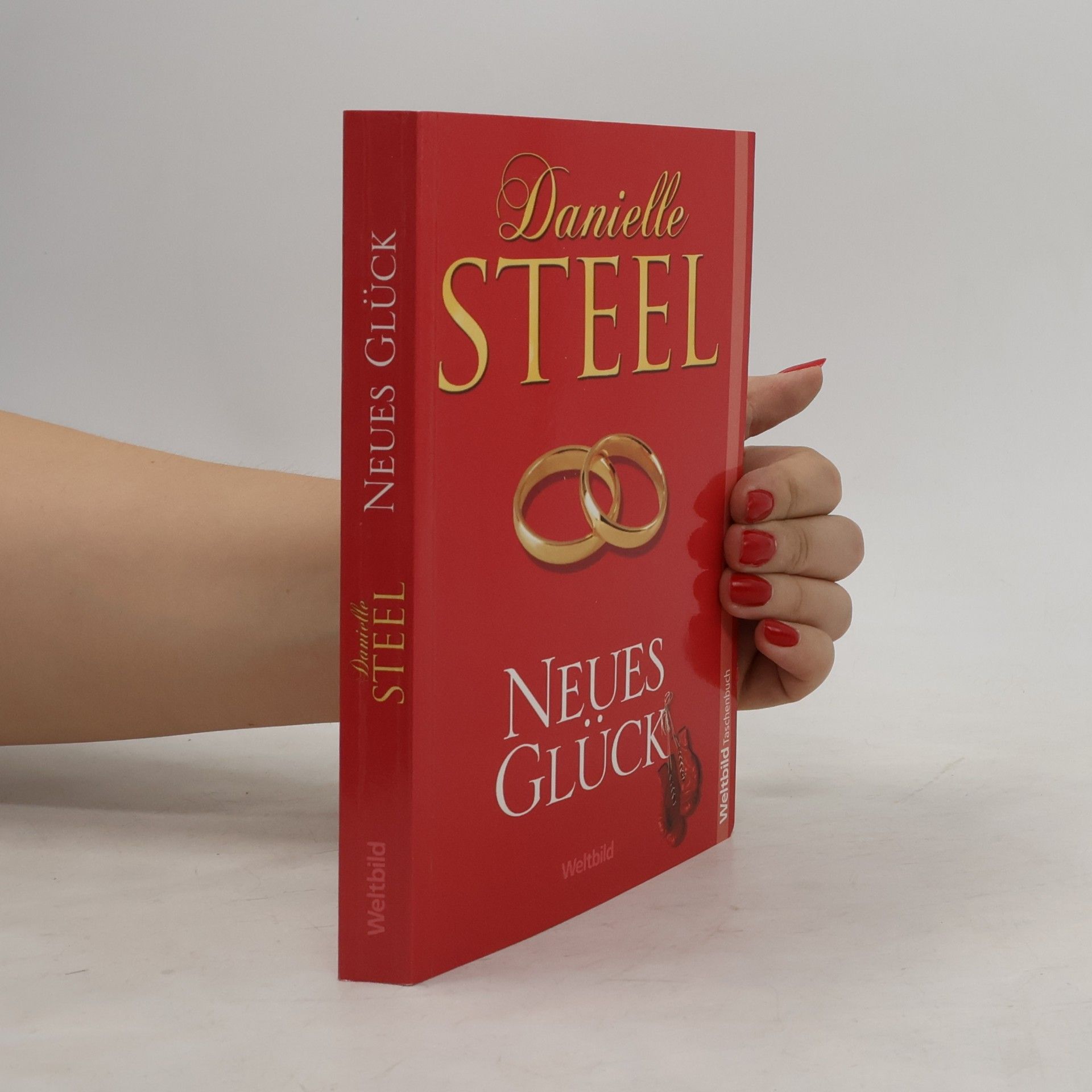 Danielle Steel Neues Glück