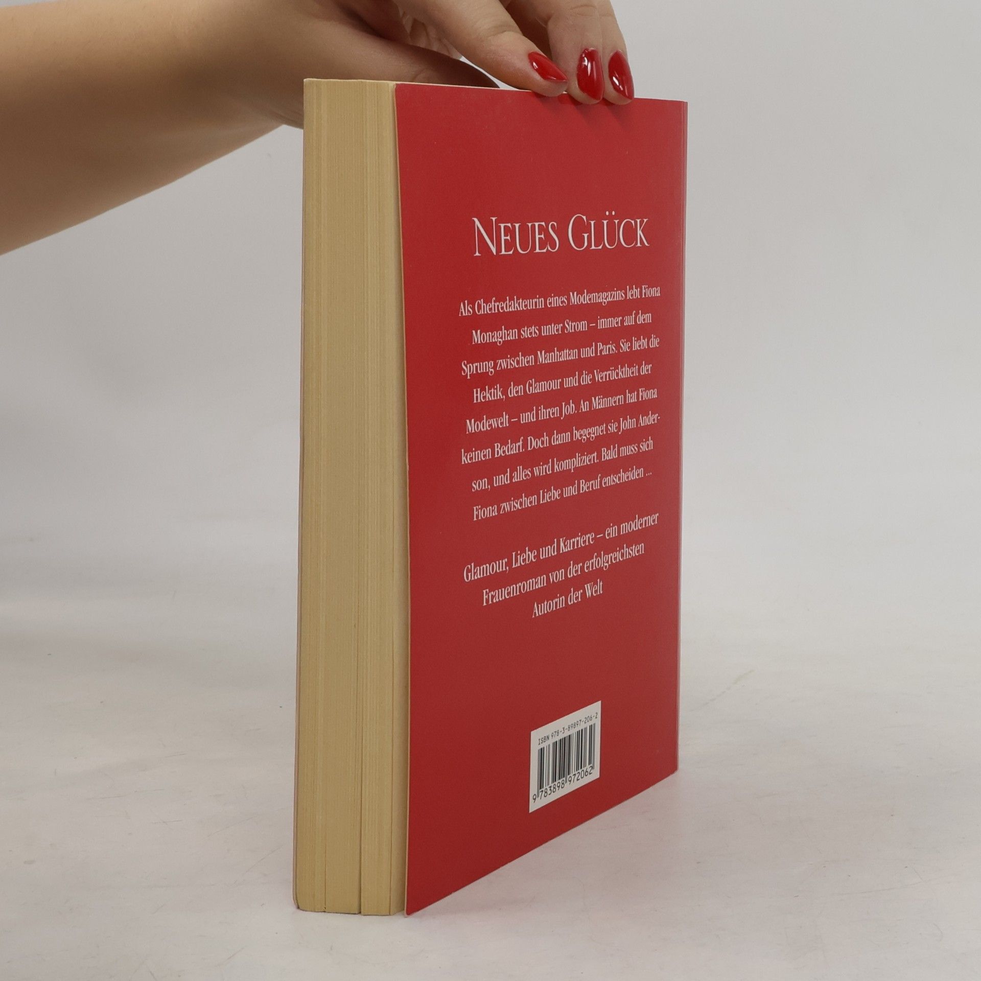 Danielle Steel Neues Glück