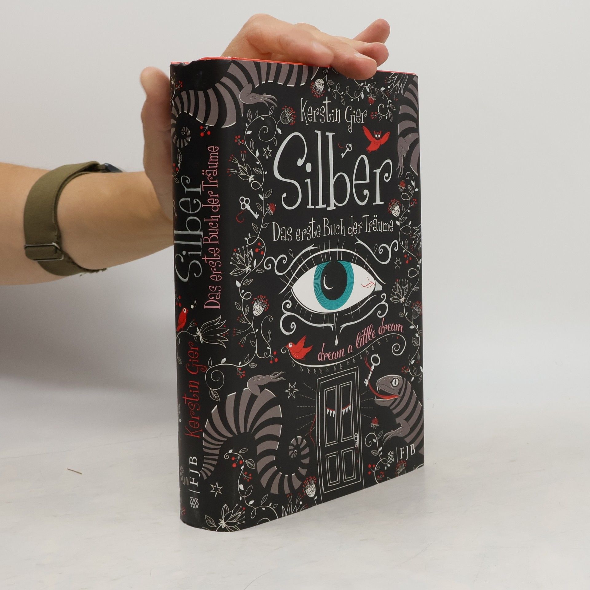 Kerstin Gier Silber. Das erste Buch der Träume