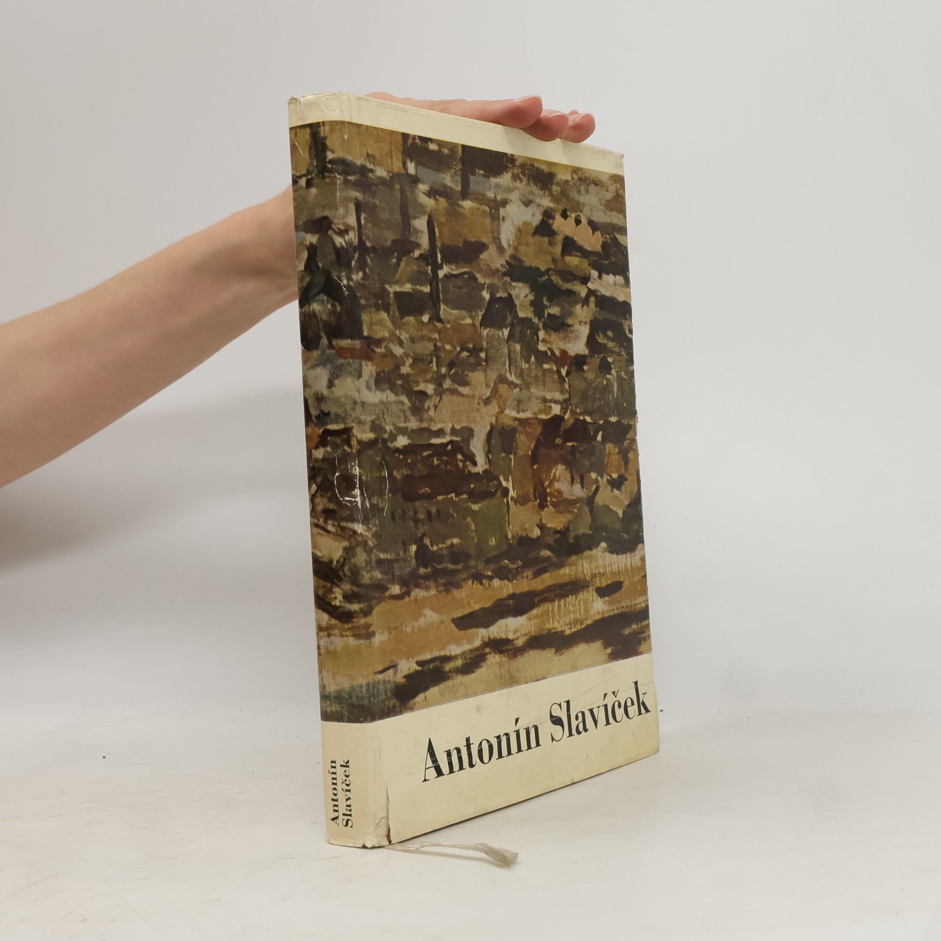 Antonín Slavíček