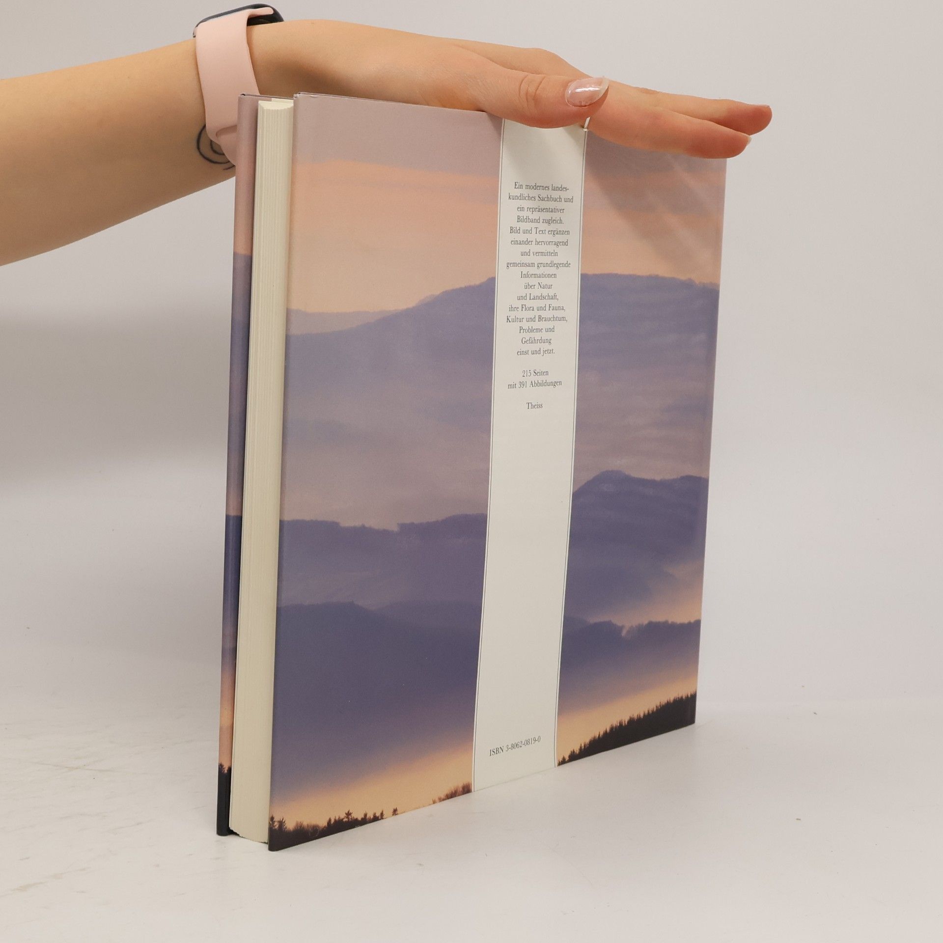 Hartwig Haubrich Das grosse Buch vom Schwarzwald