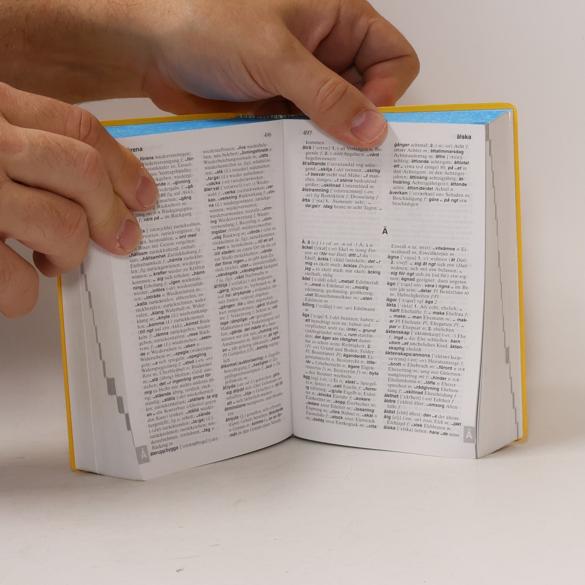 Kolektiv autorů Langenscheidt Taschenwörterbuch Schwedisch