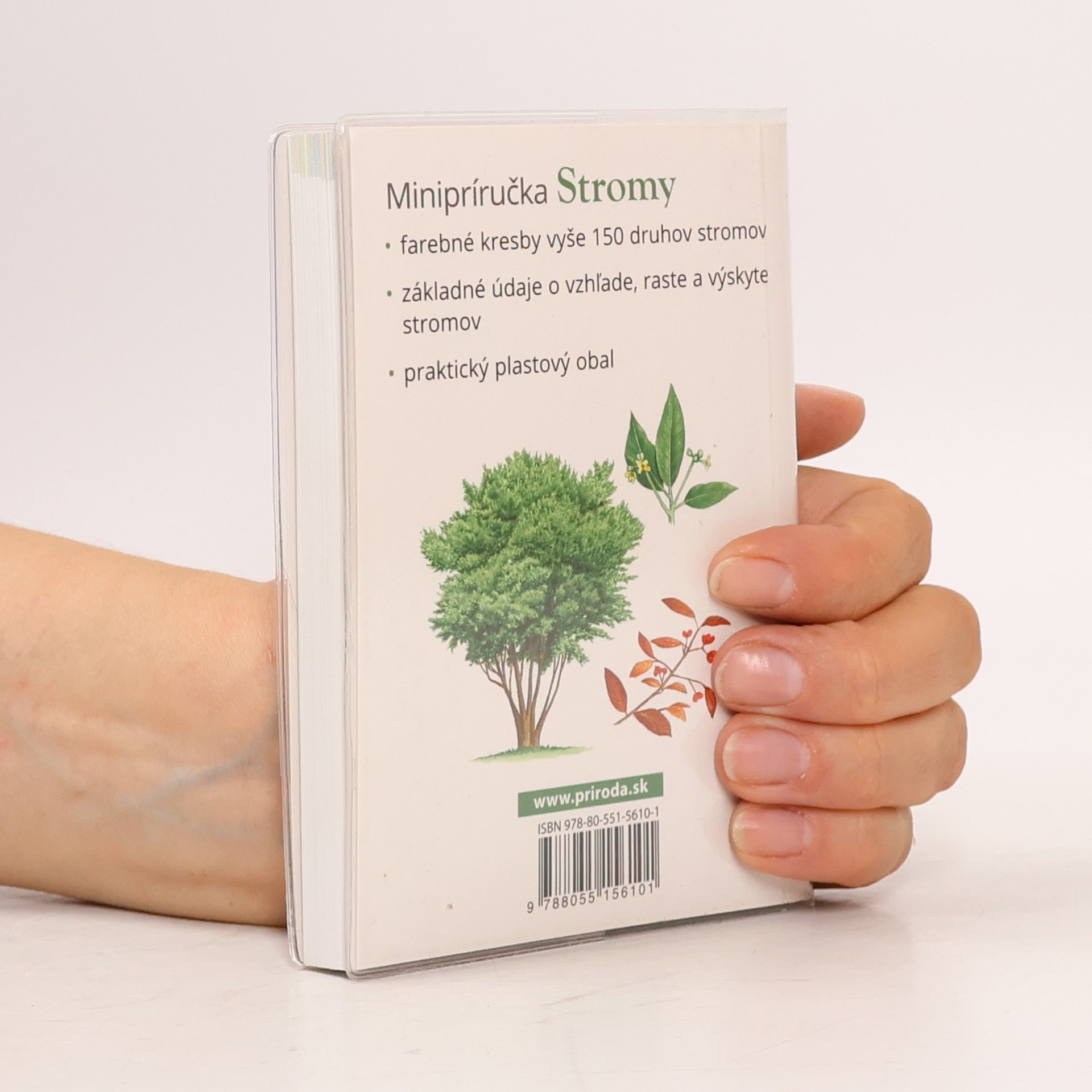Various authors Minipríručka Stromy