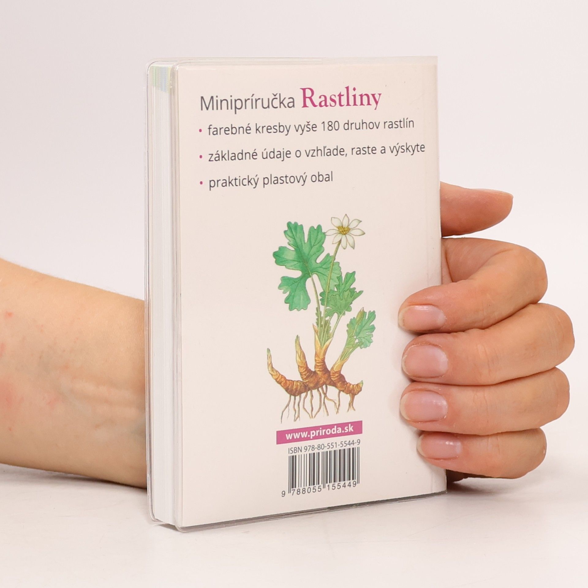 Kolektiv autorů Minipríručka Rastliny