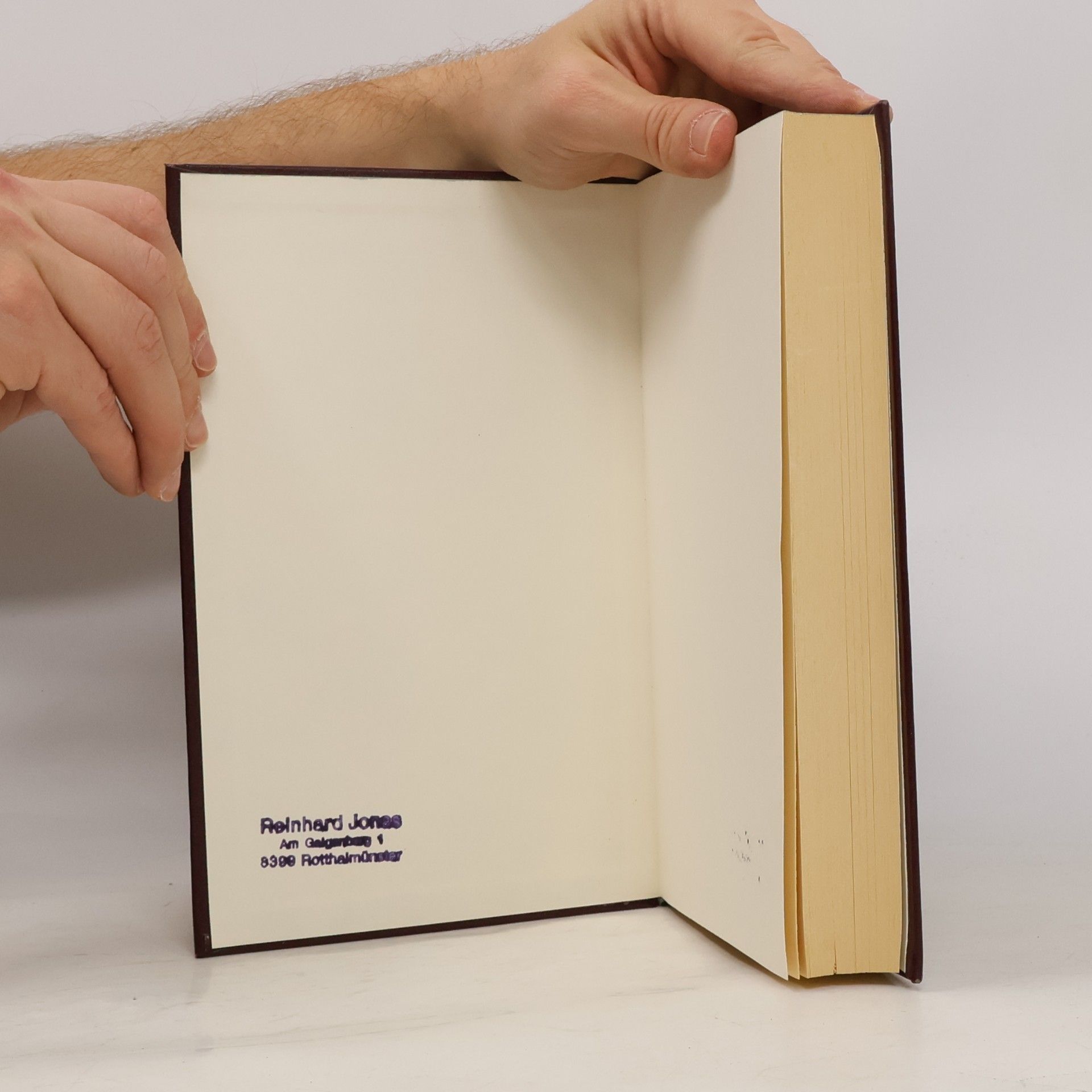 Miguel de Cervantes Exemplarische Novellen