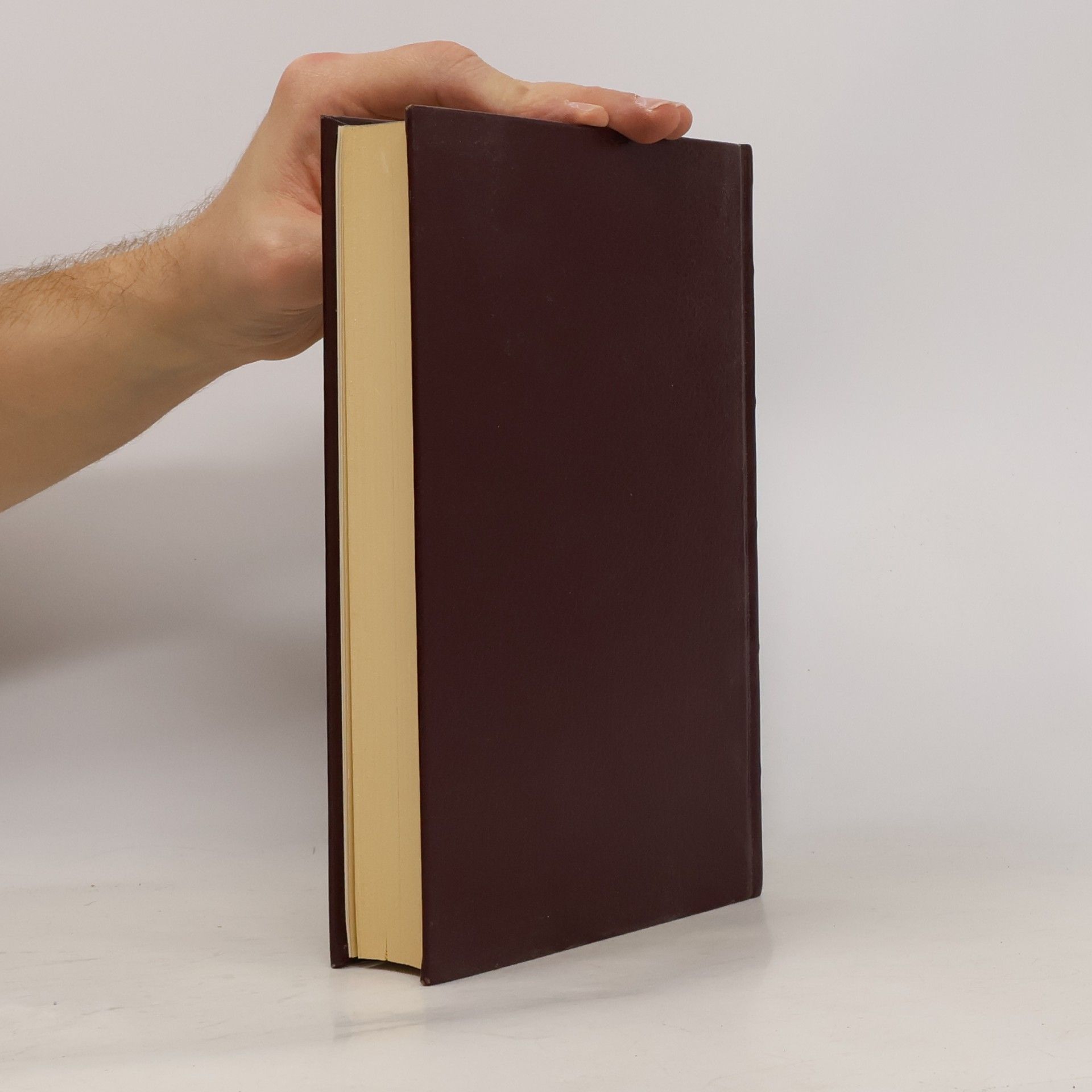 Miguel de Cervantes Exemplarische Novellen