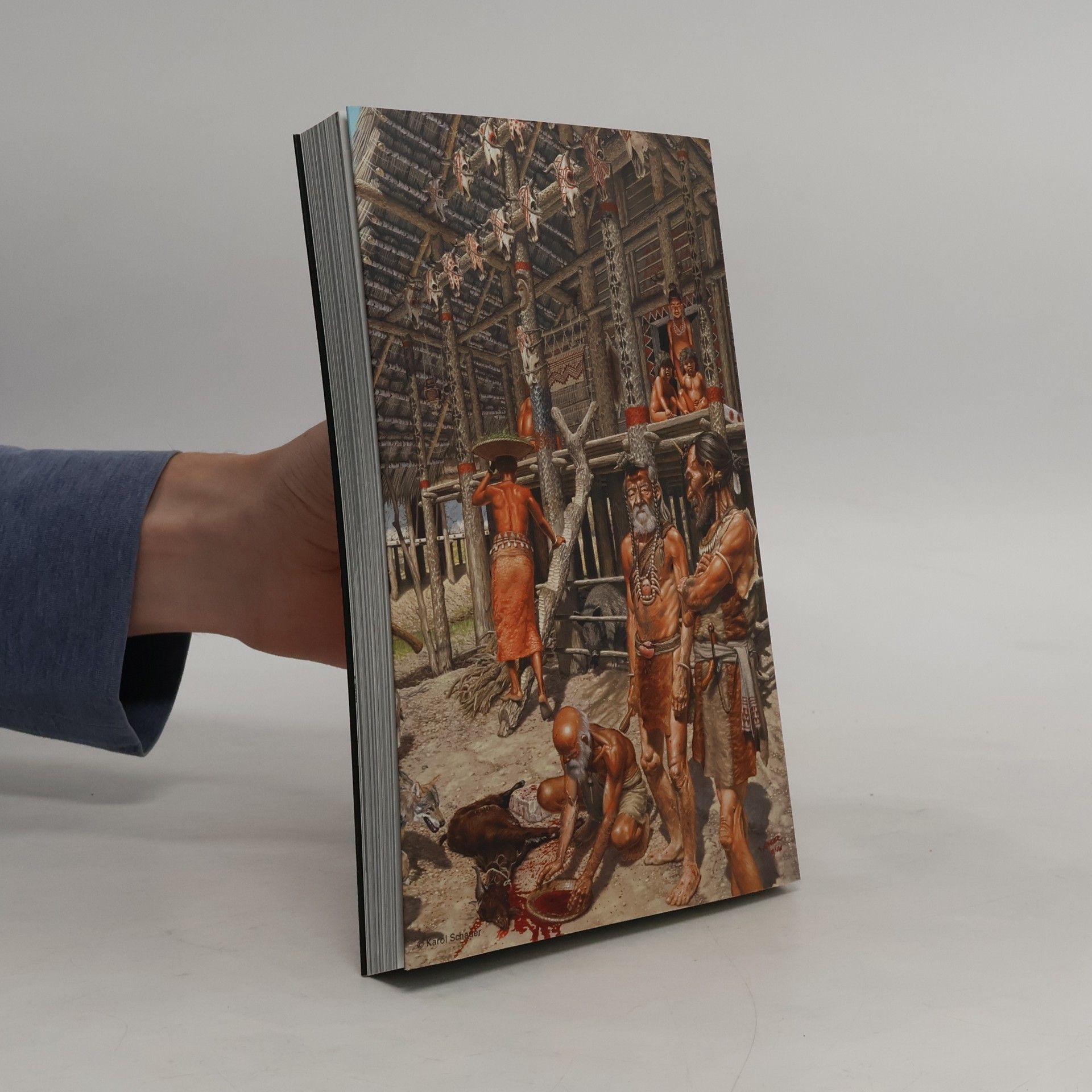 Arnold Muhl Begleithefte zur Dauerausstellung im Landesmuseum für Vorgeschichte Halle - 3: LebensWandel