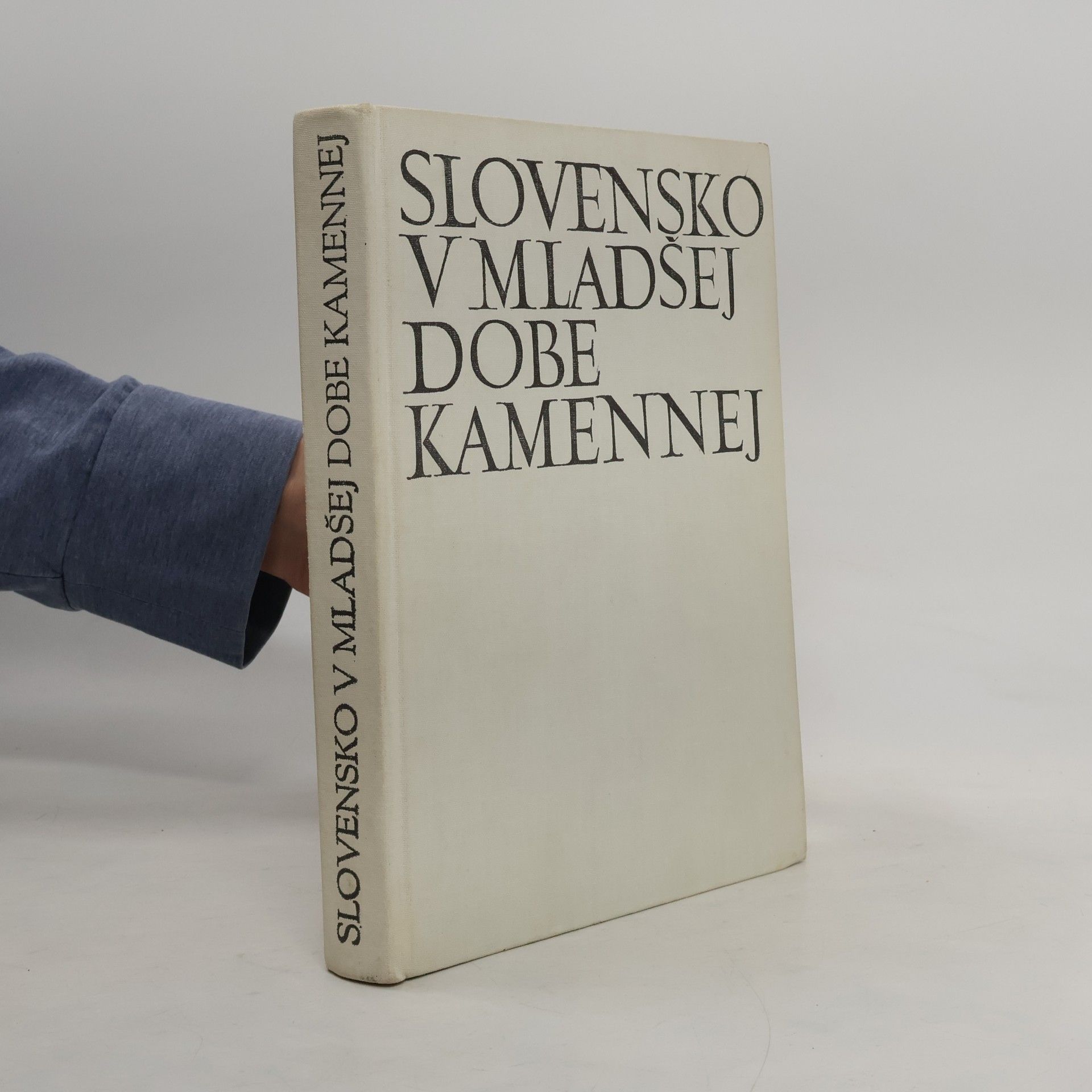 Autorenkollektiv Slovensko v mladšej dobe kamennej