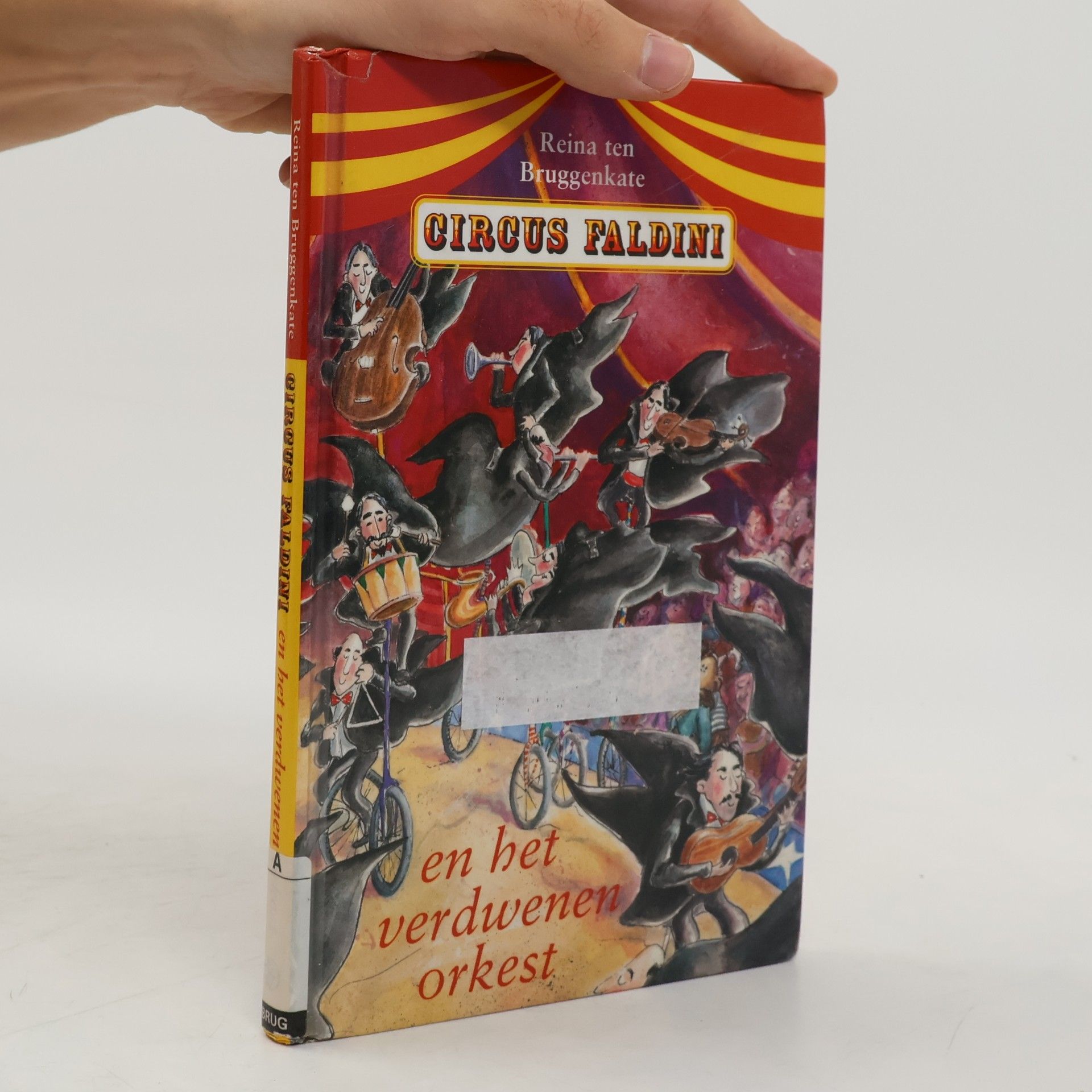 Circus Faldini en het verdwenen orkest