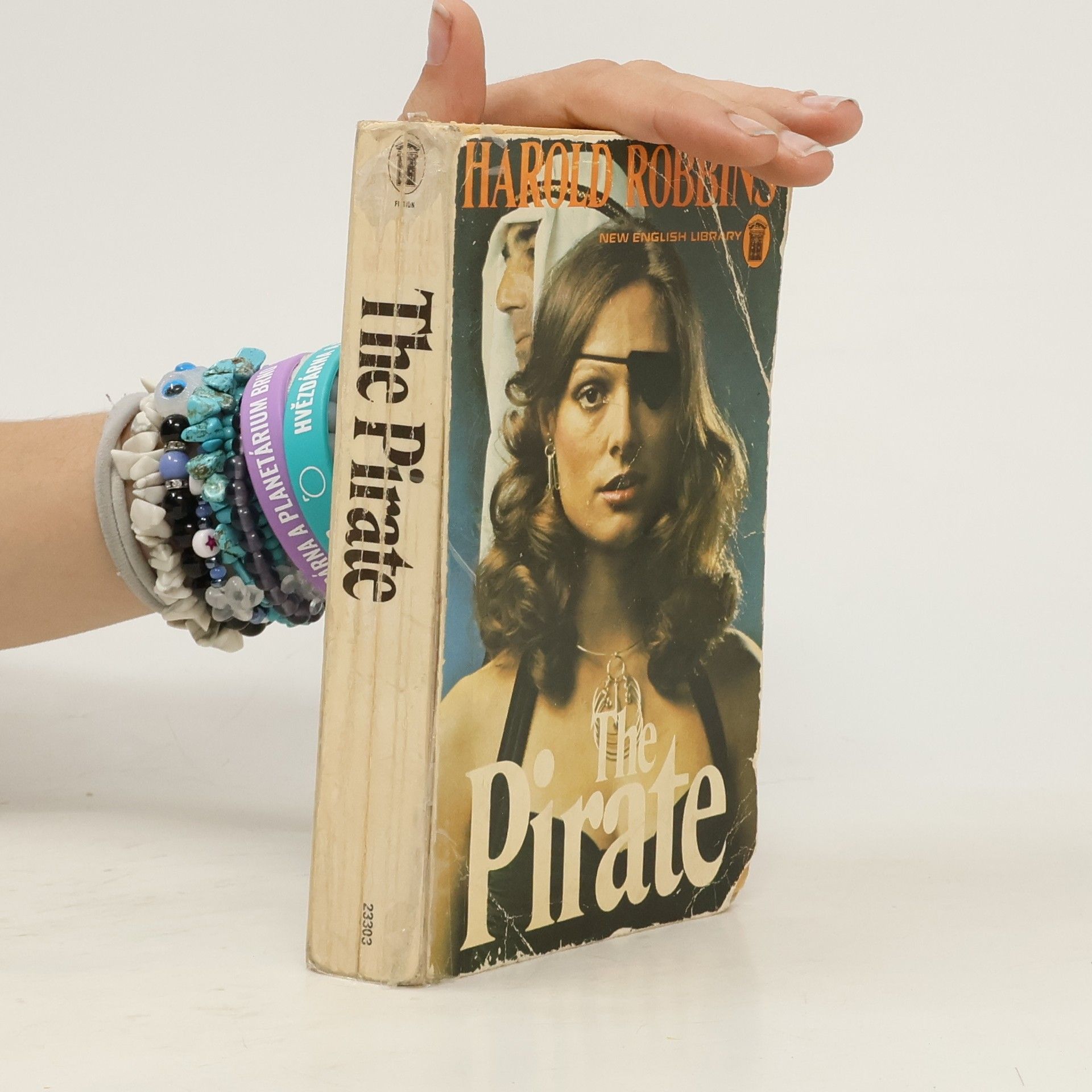 Harold Robbins The Pirate