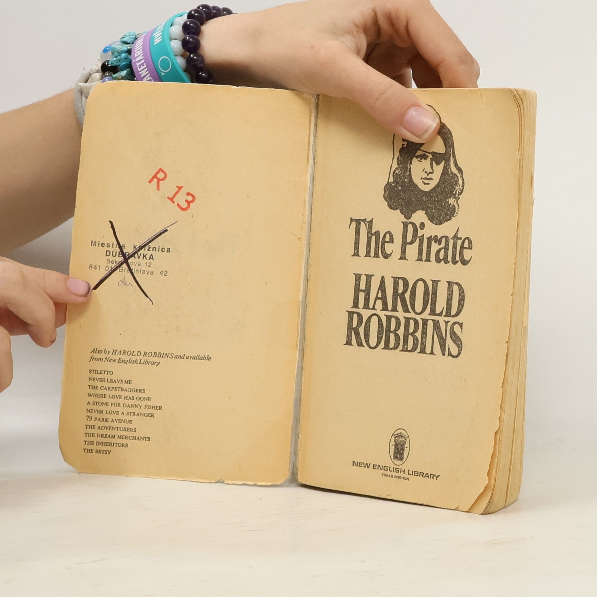 Harold Robbins The Pirate