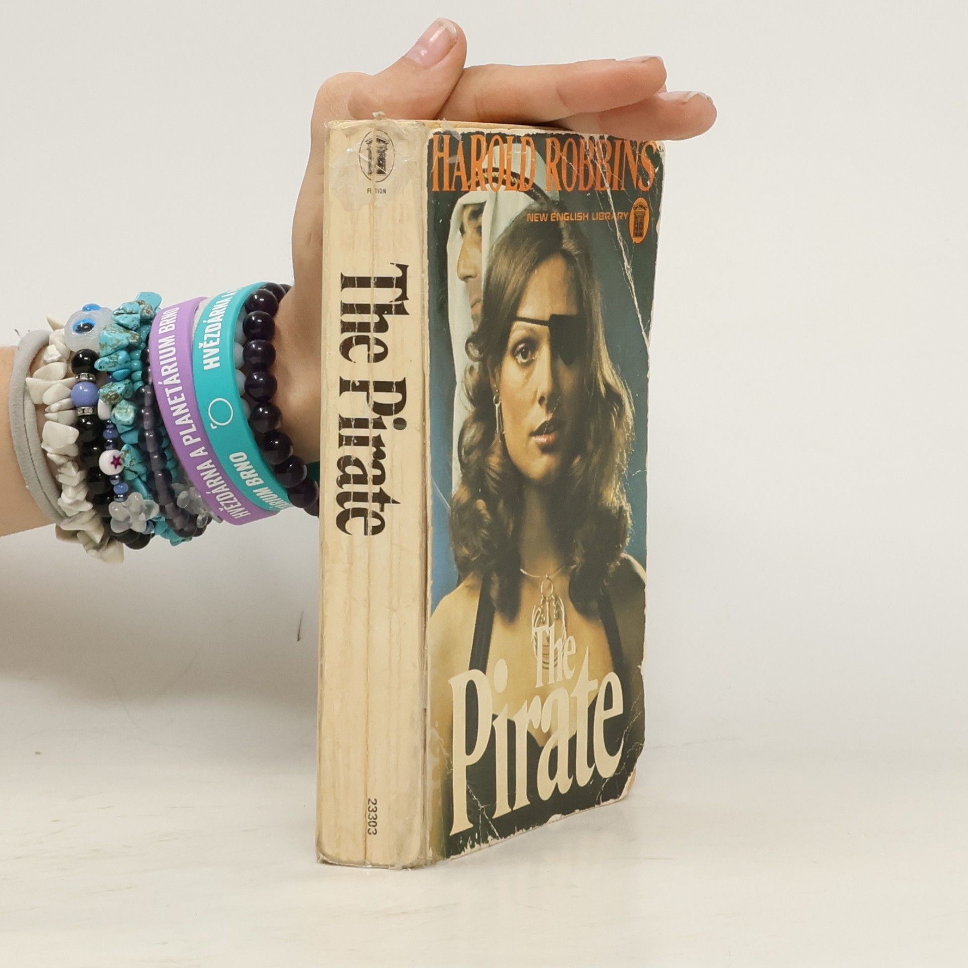 Harold Robbins The Pirate