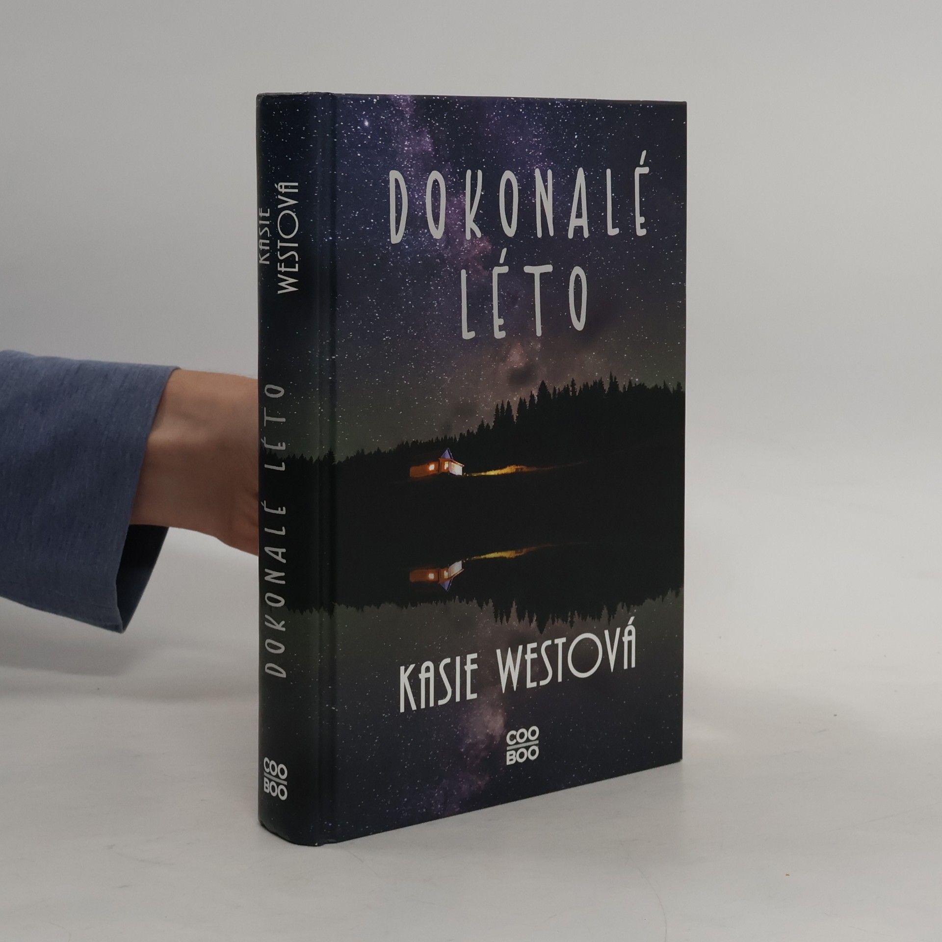 Kasie West Dokonalé léto