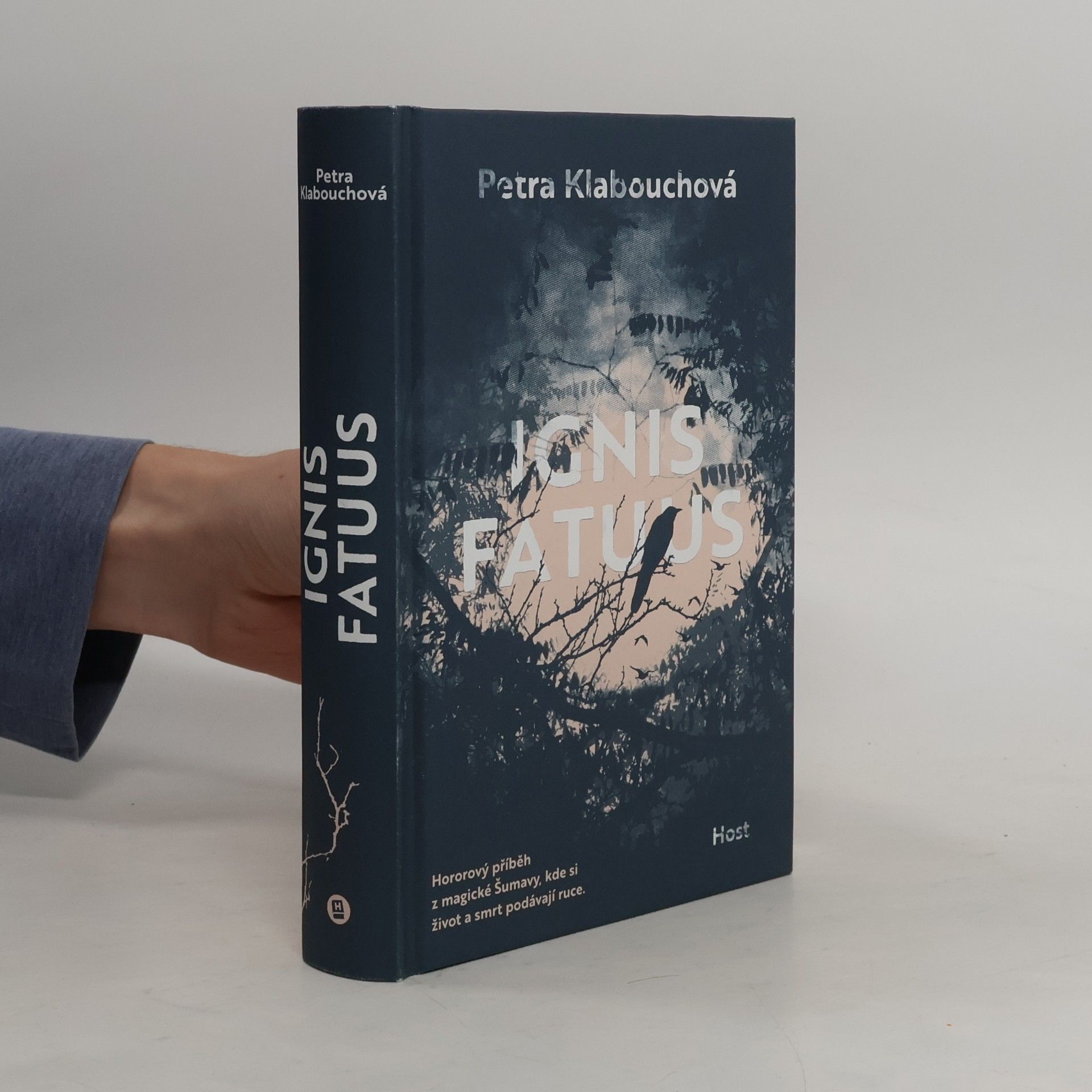 Petra Klabouchová Ignis Fatuus